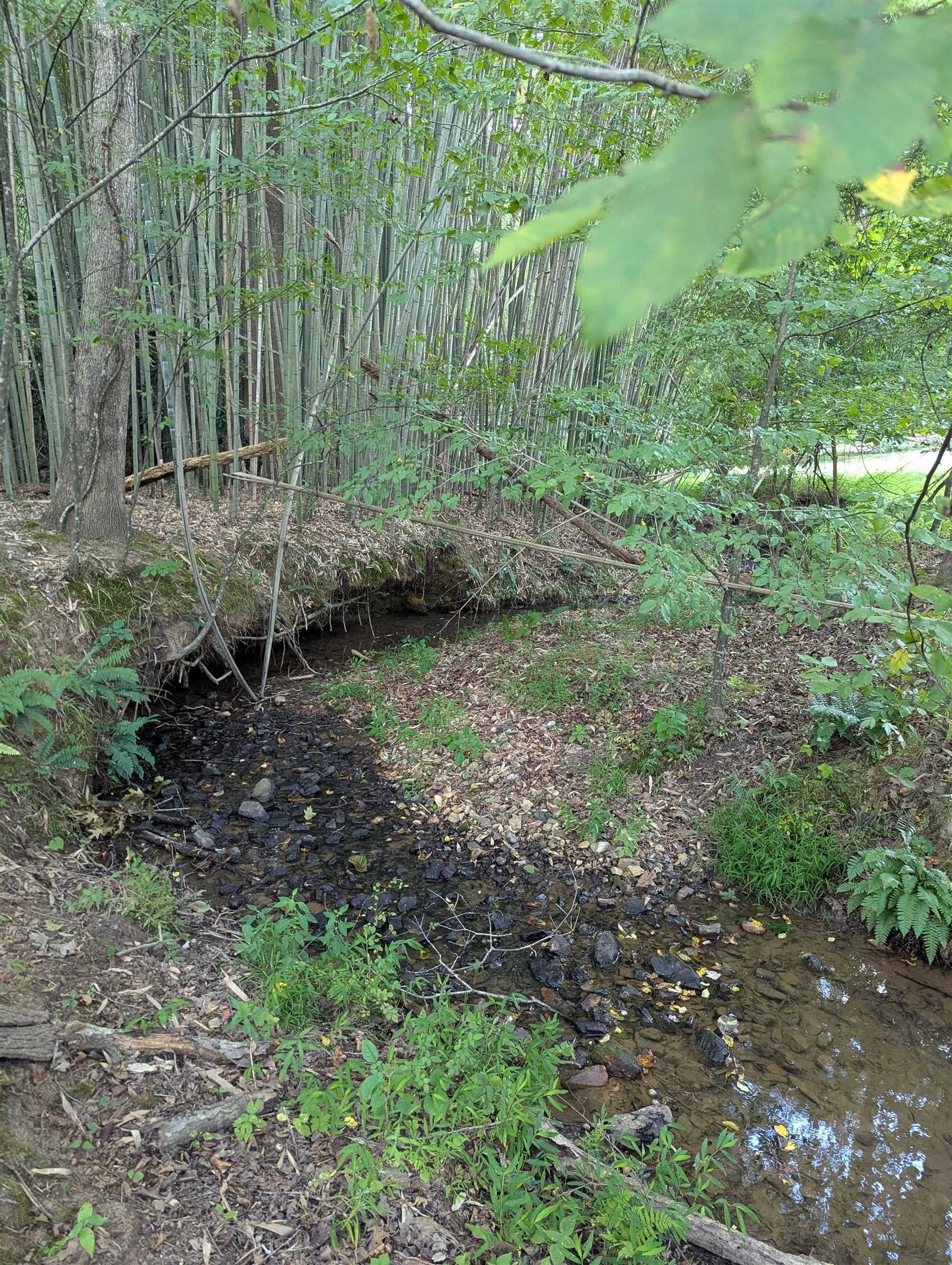 TBD BURTON LAKE RD, CHATHAM, Virginia 24531, ,Land,TBD BURTON LAKE RD,681356 MLS # 681356