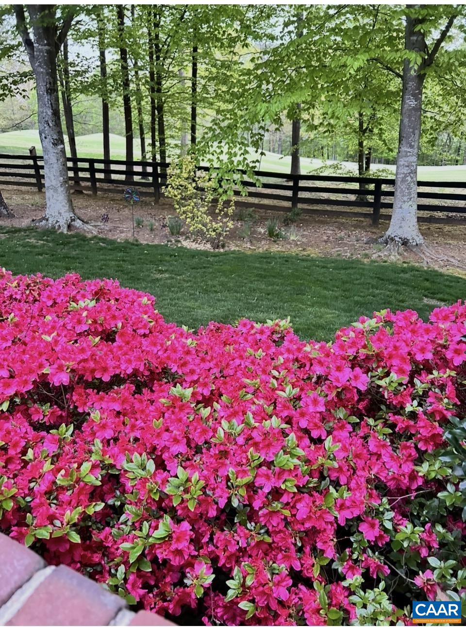 2225 PIPER WAY, KESWICK, Virginia 22947, 5 Bedrooms Bedrooms, ,4 BathroomsBathrooms,Residential,2225 PIPER WAY,681322 MLS # 681322 2225 PIPER WAY, KESWICK, Virginia 22947, 5 Bedrooms Bedrooms, ,4 BathroomsBathrooms,Residential,2225 PIPER WAY,681322 MLS # 681322