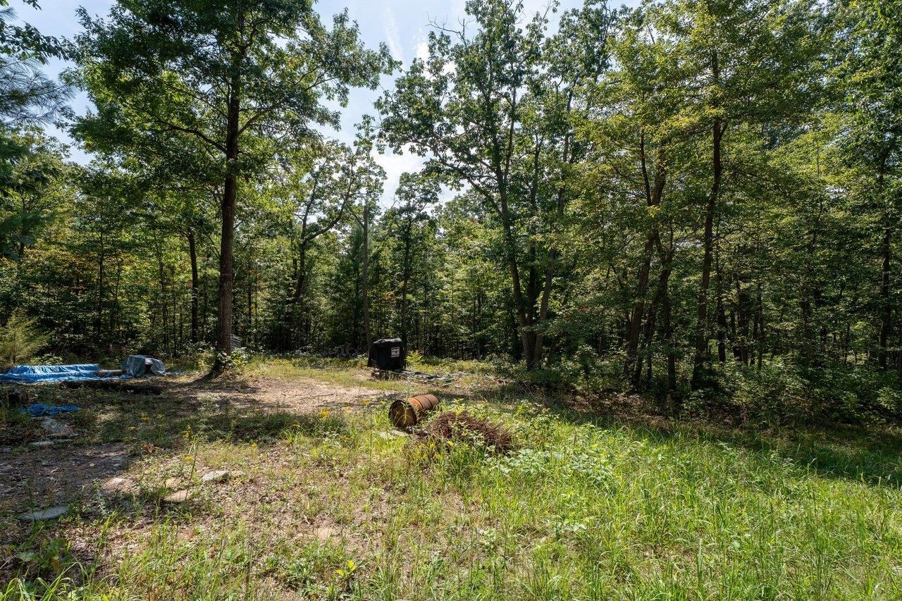 19806 HUCKLEBERRY RD, ELKTON, Virginia 22827, 3 Bedrooms Bedrooms, ,2 BathroomsBathrooms,Residential,19806 HUCKLEBERRY RD,681336 MLS # 681336