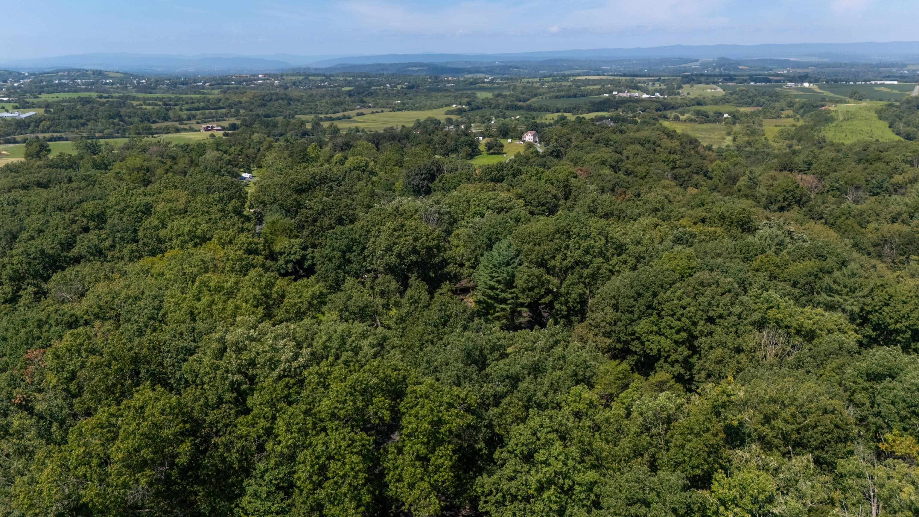 5023 SMITH CREEK RD, NEW MARKET, Virginia 22844, 3 Bedrooms Bedrooms, ,1 BathroomBathrooms,Residential,5023 SMITH CREEK RD,681346 MLS # 681346 5023 SMITH CREEK RD, NEW MARKET, Virginia 22844, 3 Bedrooms Bedrooms, ,1 BathroomBathrooms,Residential,5023 SMITH CREEK RD,681346 MLS # 681346