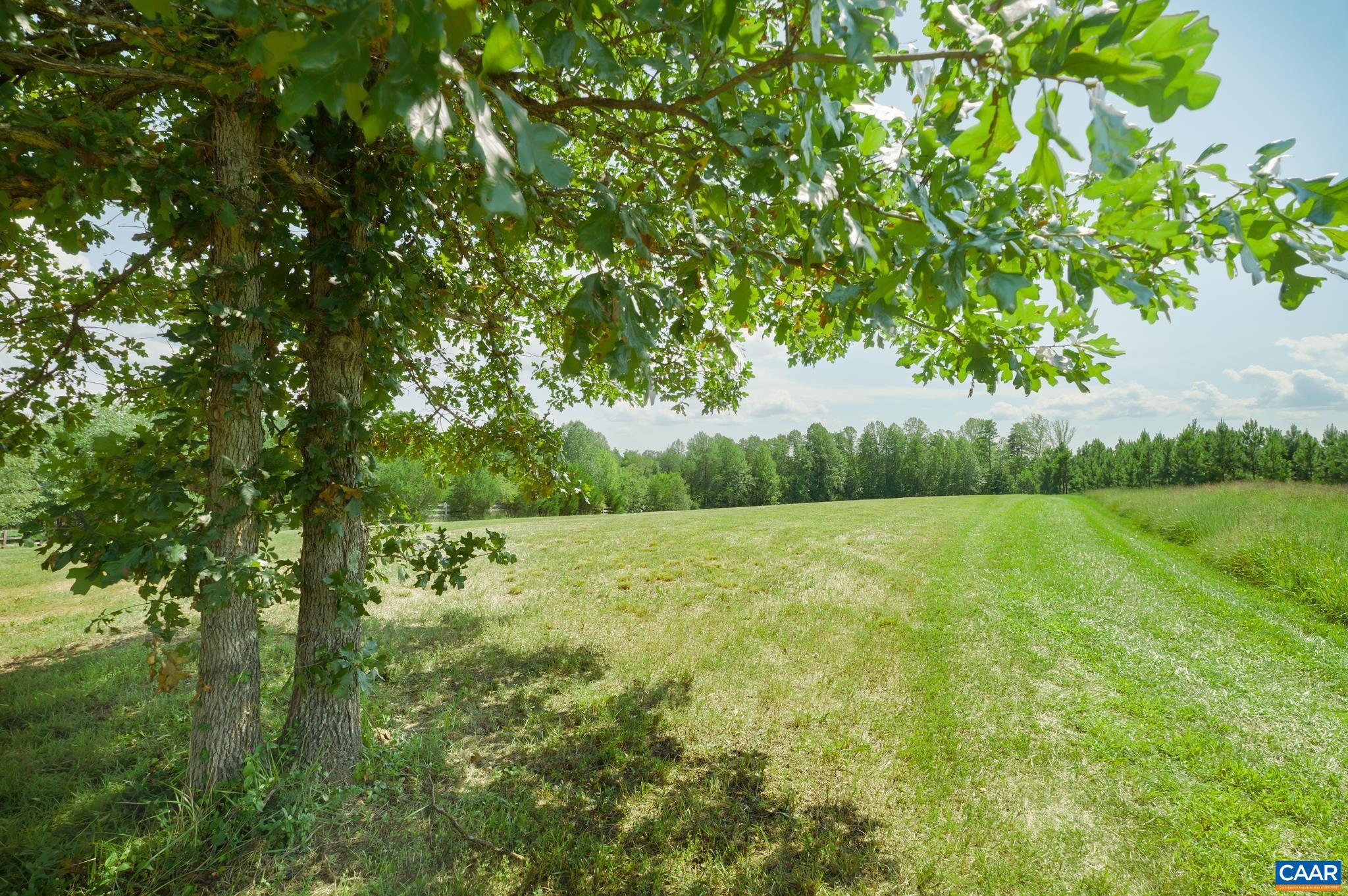 TBD RIVER RIDGE RD, DILLWYN, Virginia 23936, ,Land,TBD RIVER RIDGE RD,681307 MLS # 681307