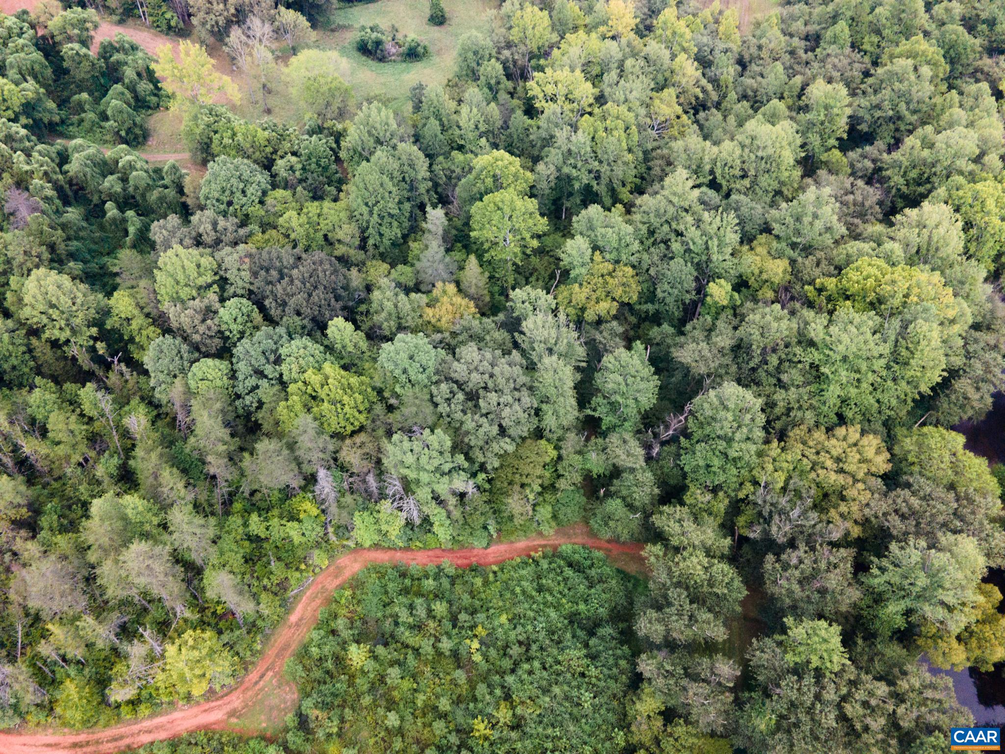 TBD RIVER RIDGE RD, DILLWYN, Virginia 23936, ,Land,TBD RIVER RIDGE RD,681307 MLS # 681307