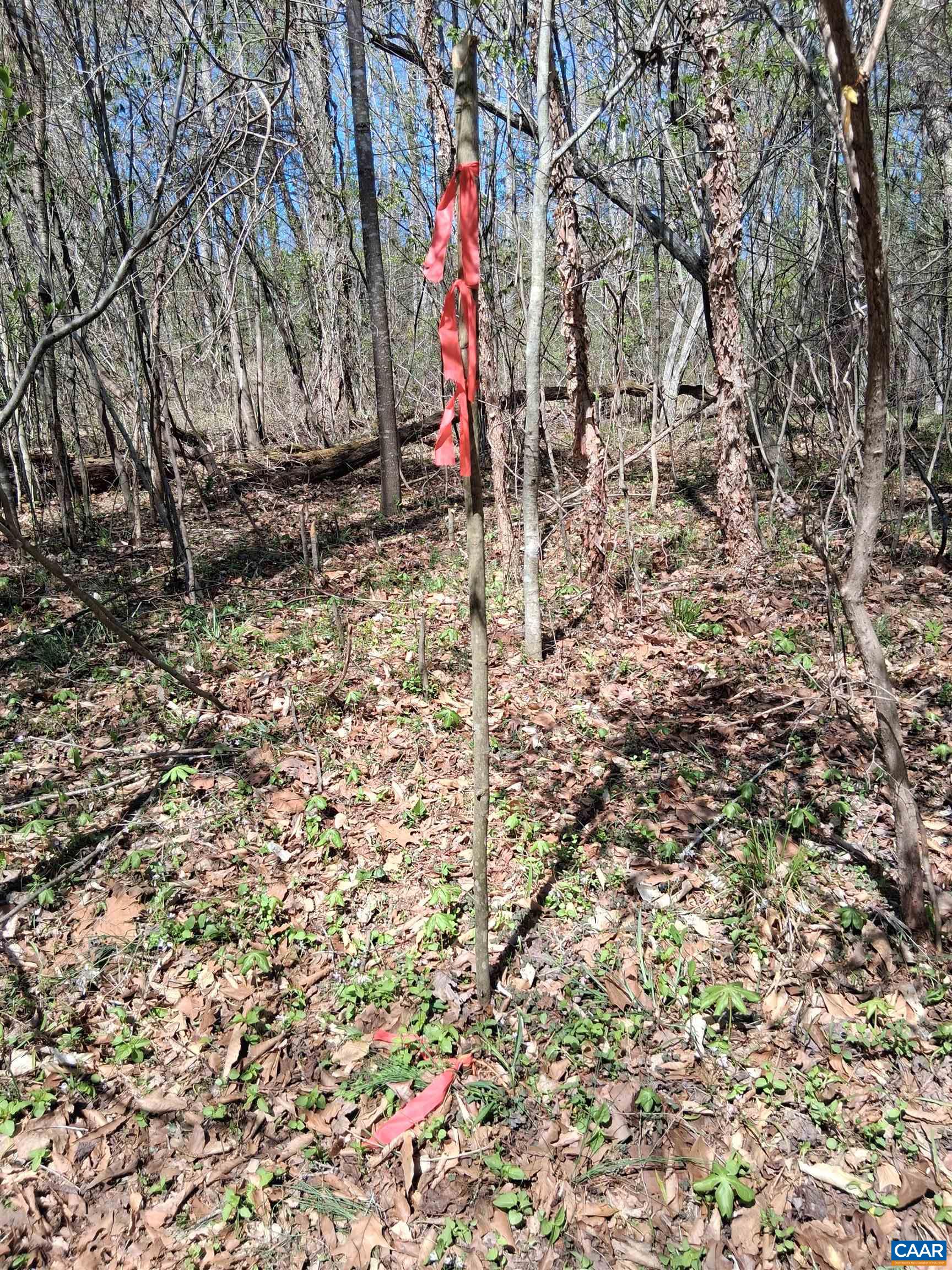Lot 3 RIDGE RD, PALMYRA, Virginia 22963, ,Land,Elsie Lane, Lot 3,Lot 3 RIDGE RD,681325 MLS # 681325