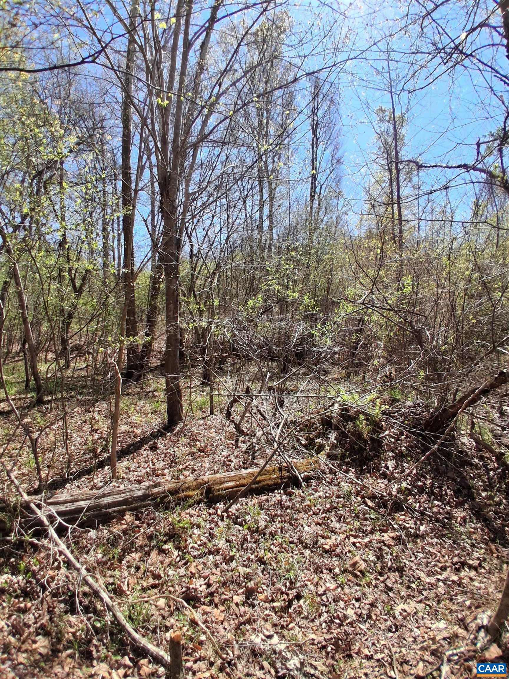 Lot 3 RIDGE RD, PALMYRA, Virginia 22963, ,Land,Elsie Lane, Lot 3,Lot 3 RIDGE RD,681325 MLS # 681325