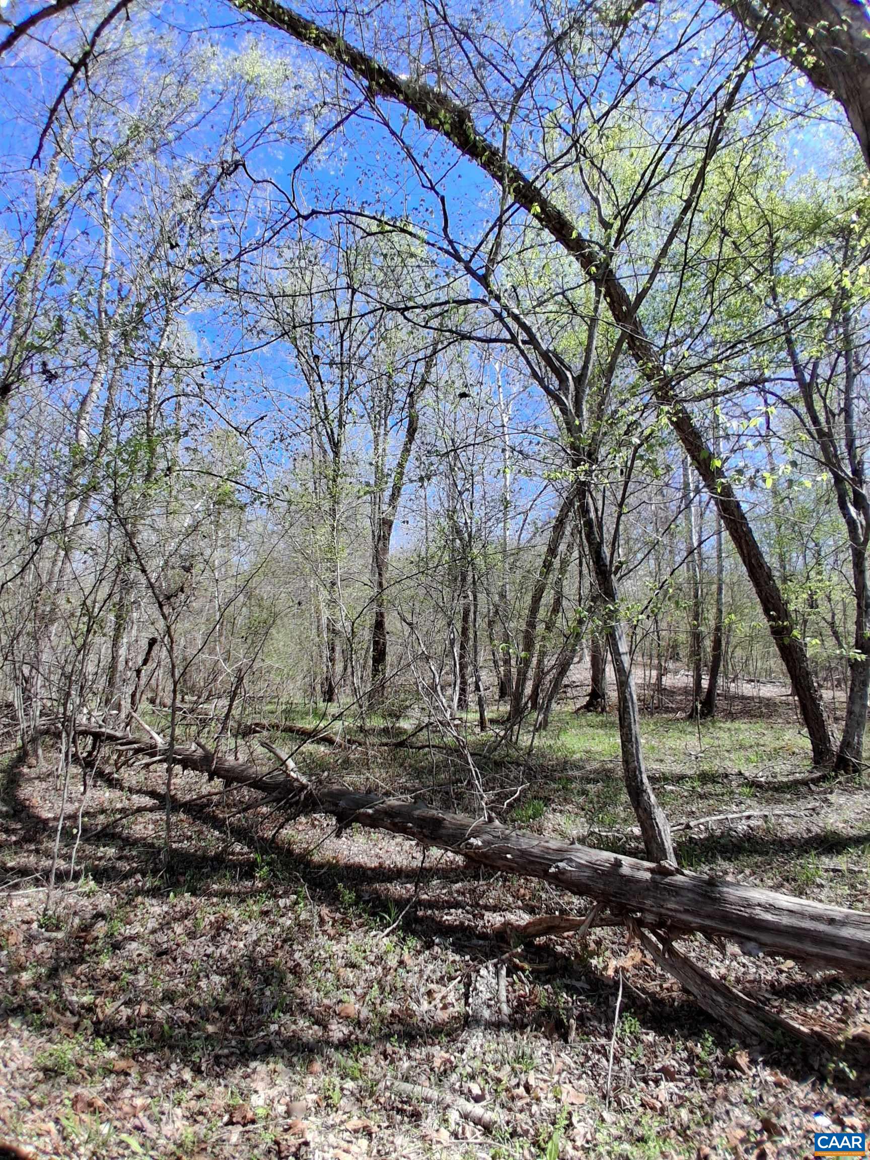 Lot 3 RIDGE RD, PALMYRA, Virginia 22963, ,Land,Elsie Lane, Lot 3,Lot 3 RIDGE RD,681325 MLS # 681325