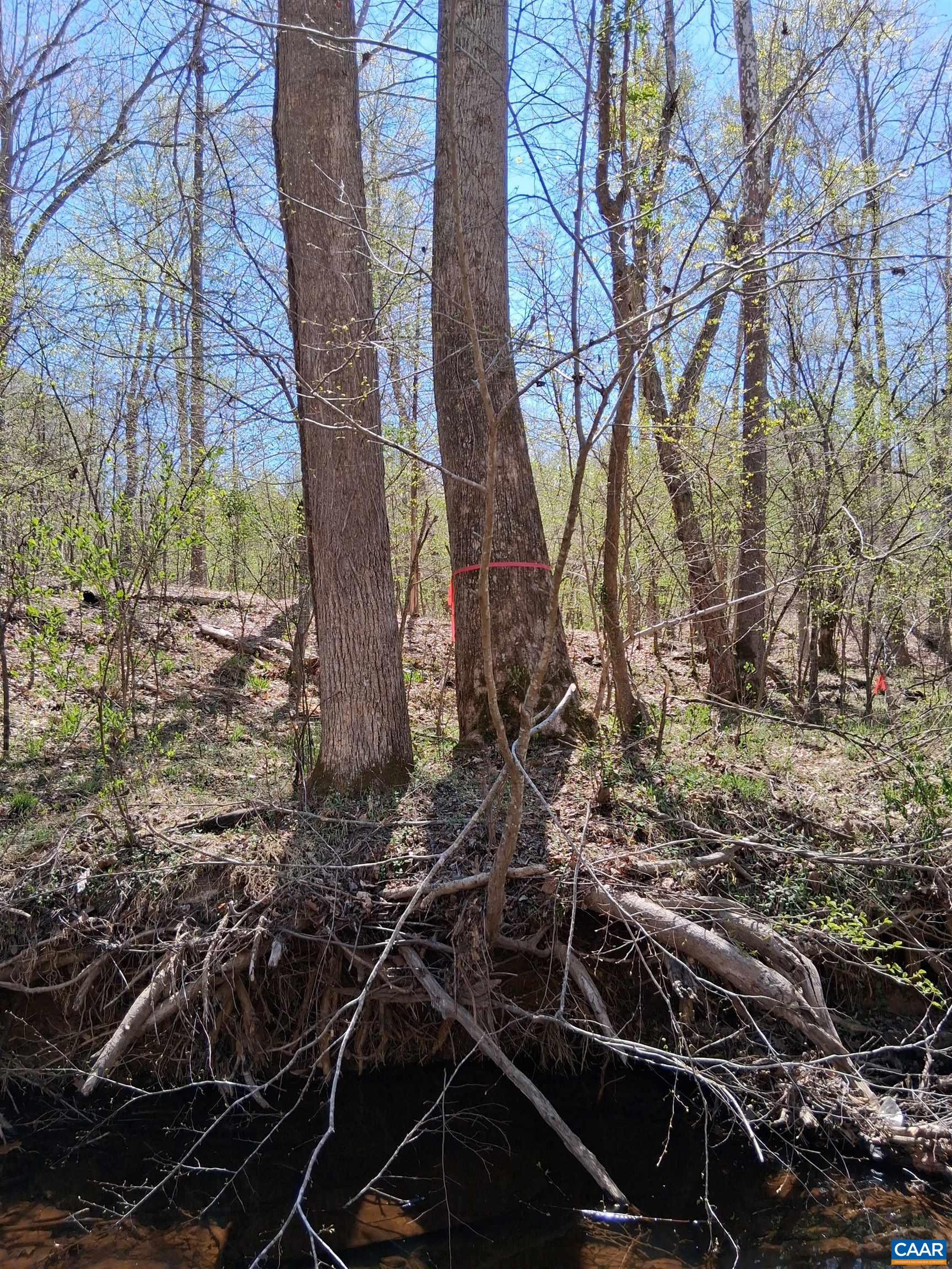 Lot 3 RIDGE RD, PALMYRA, Virginia 22963, ,Land,Elsie Lane, Lot 3,Lot 3 RIDGE RD,681325 MLS # 681325