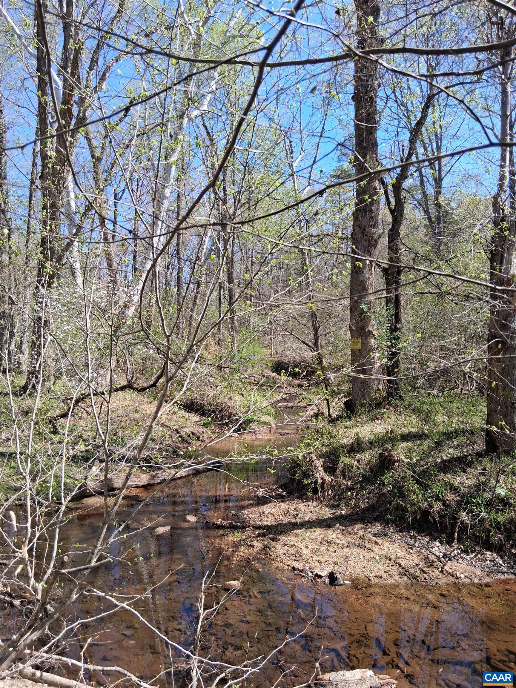 Lot 3 RIDGE RD, PALMYRA, Virginia 22963, ,Land,Elsie Lane, Lot 3,Lot 3 RIDGE RD,681325 MLS # 681325