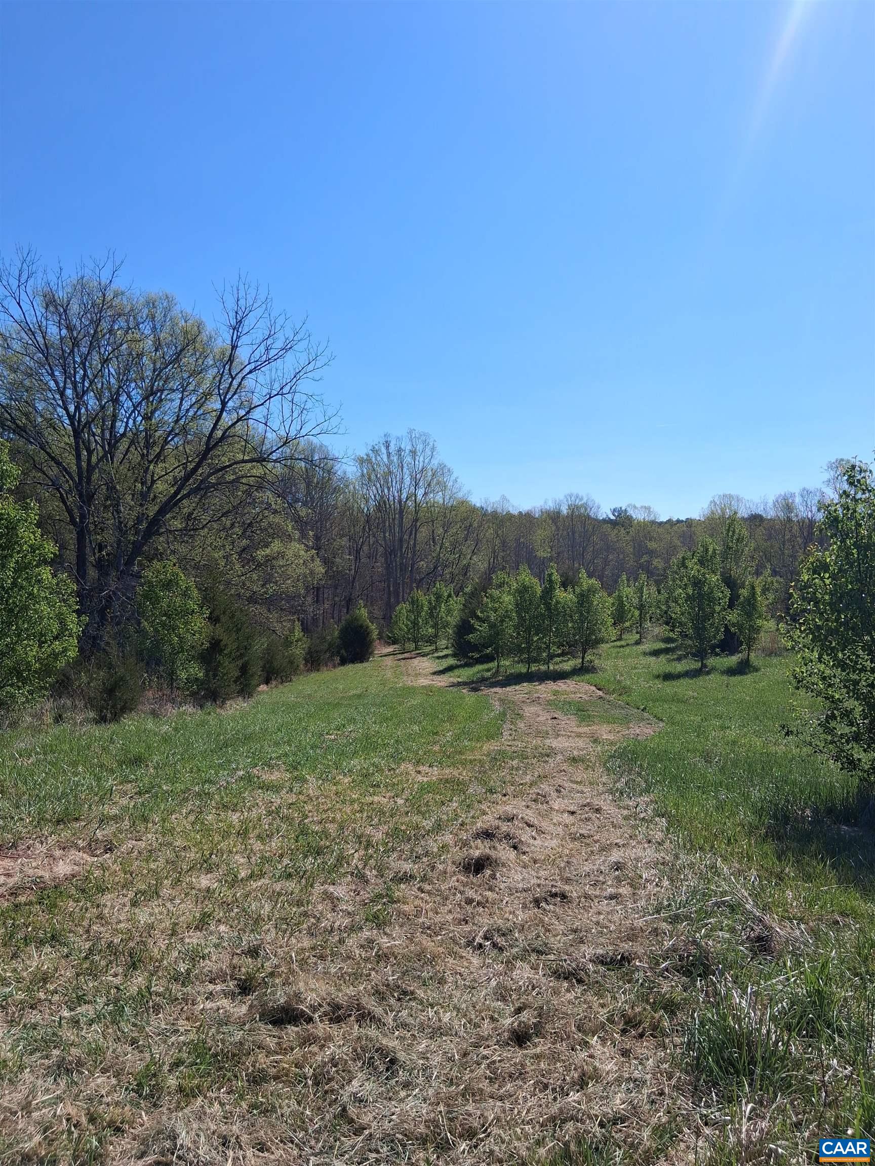 Lot 3 RIDGE RD, PALMYRA, Virginia 22963, ,Land,Elsie Lane, Lot 3,Lot 3 RIDGE RD,681325 MLS # 681325