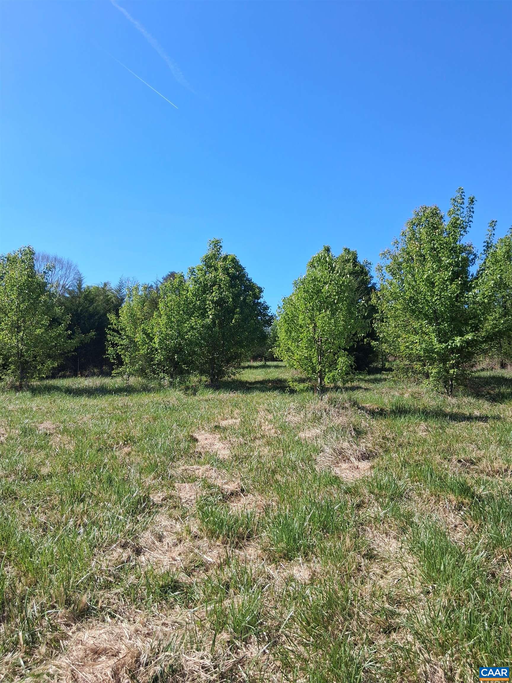 Lot 3 RIDGE RD, PALMYRA, Virginia 22963, ,Land,Elsie Lane, Lot 3,Lot 3 RIDGE RD,681325 MLS # 681325