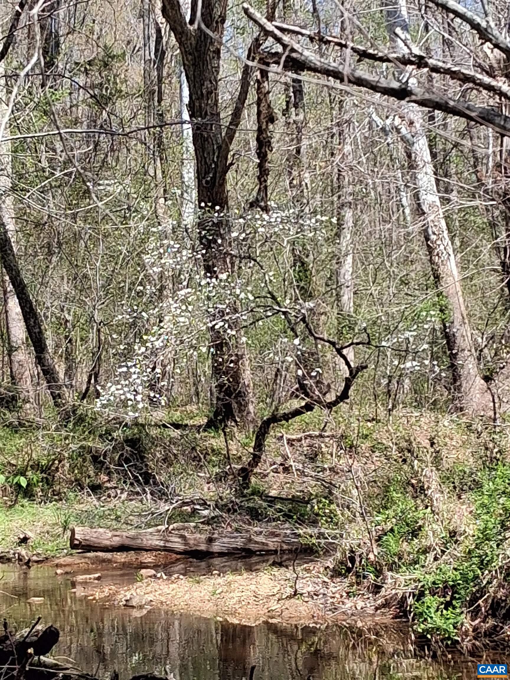 Lot 3 RIDGE RD, PALMYRA, Virginia 22963, ,Land,Elsie Lane, Lot 3,Lot 3 RIDGE RD,681325 MLS # 681325