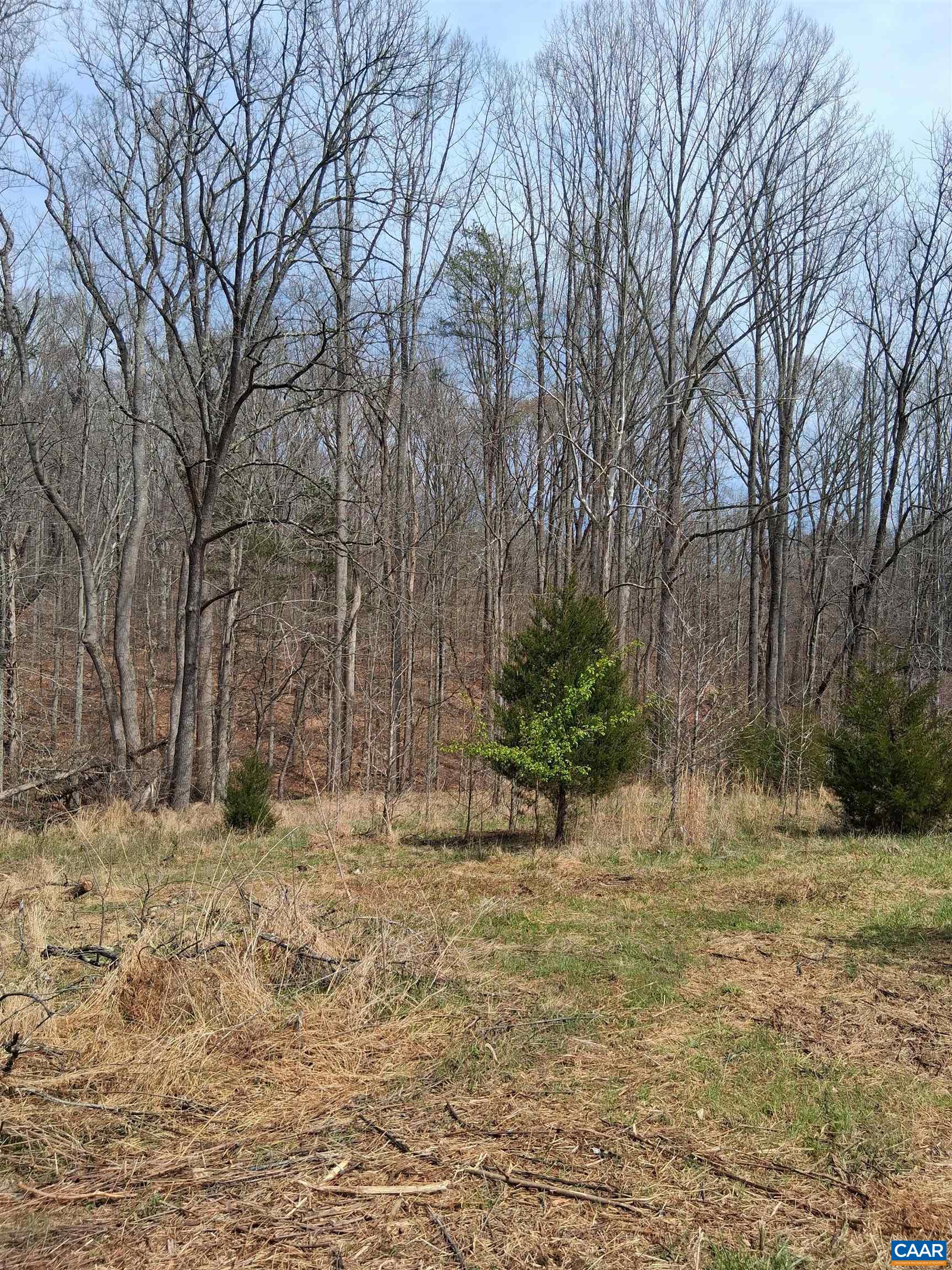 Lot 3 RIDGE RD, PALMYRA, Virginia 22963, ,Land,Elsie Lane, Lot 3,Lot 3 RIDGE RD,681325 MLS # 681325