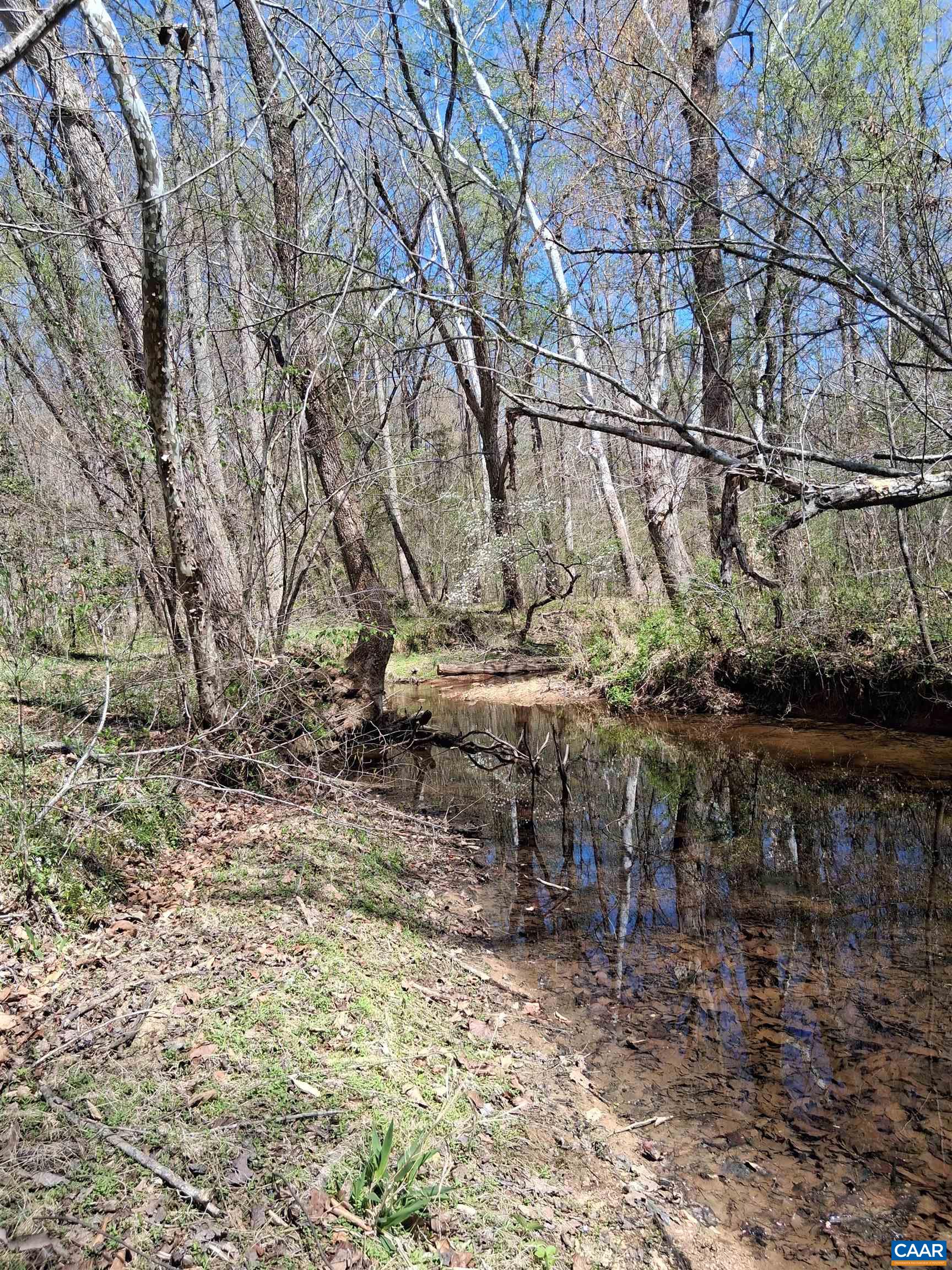 Lot 3 RIDGE RD, PALMYRA, Virginia 22963, ,Land,Elsie Lane, Lot 3,Lot 3 RIDGE RD,681325 MLS # 681325