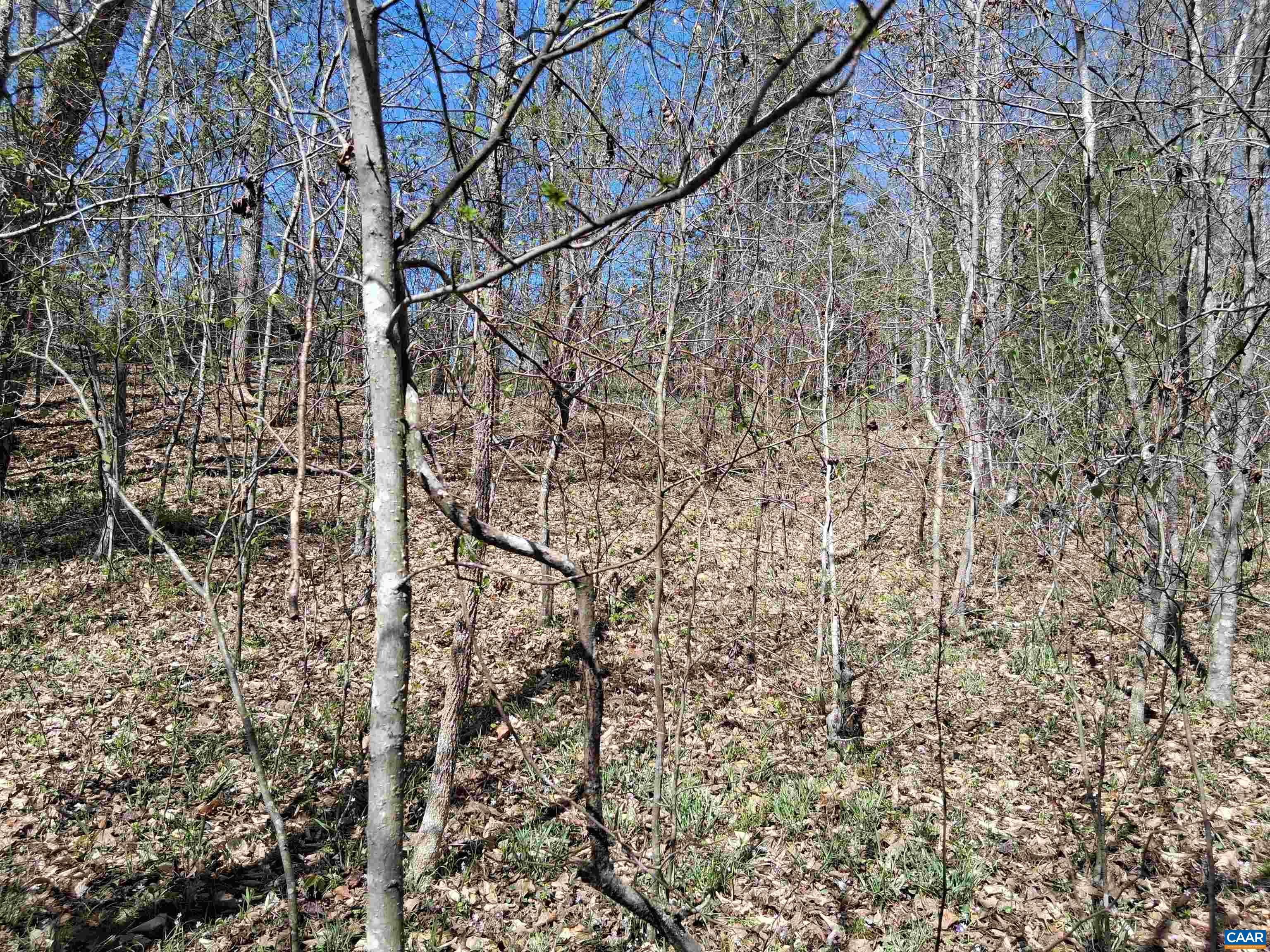 Lot 3 RIDGE RD, PALMYRA, Virginia 22963, ,Land,Elsie Lane, Lot 3,Lot 3 RIDGE RD,681325 MLS # 681325