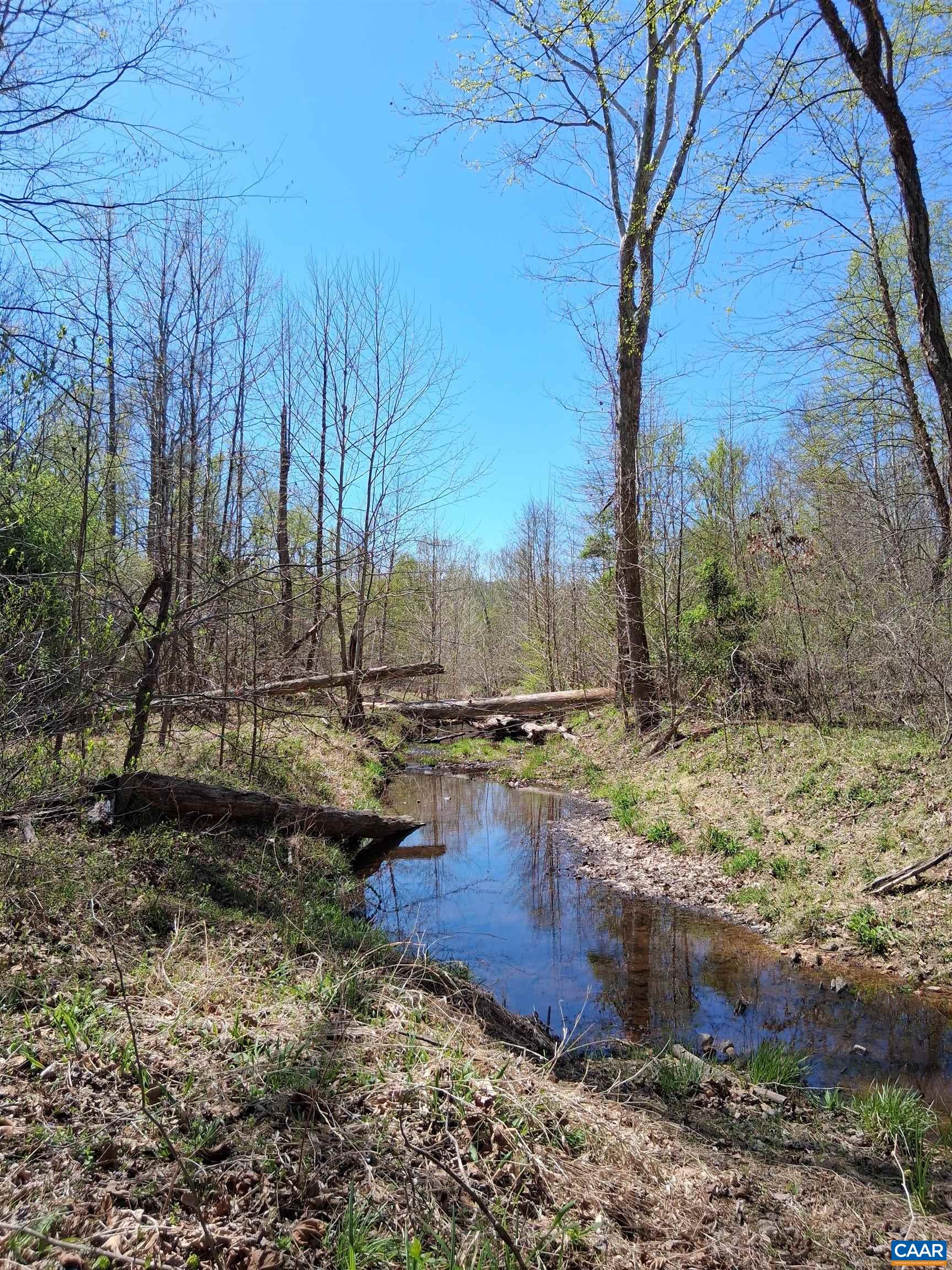 Lot 3 RIDGE RD, PALMYRA, Virginia 22963, ,Land,Elsie Lane, Lot 3,Lot 3 RIDGE RD,681325 MLS # 681325