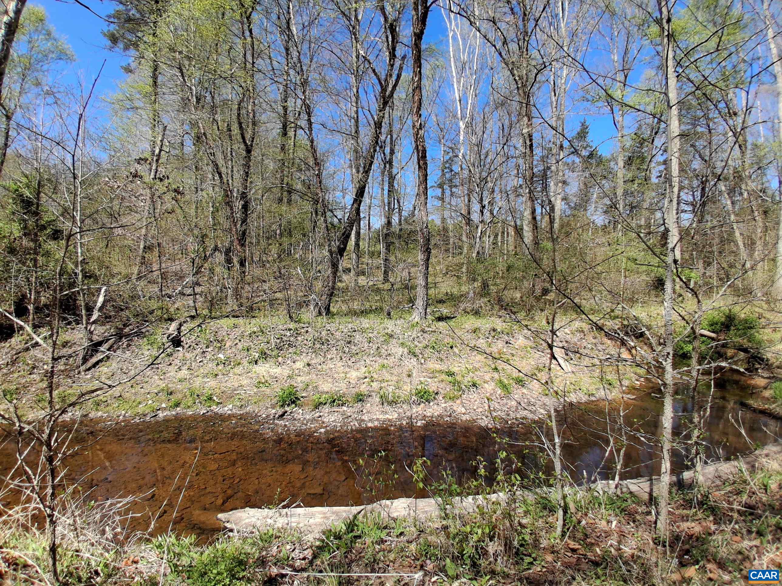 Lot 3 RIDGE RD, PALMYRA, Virginia 22963, ,Land,Elsie Lane, Lot 3,Lot 3 RIDGE RD,681325 MLS # 681325