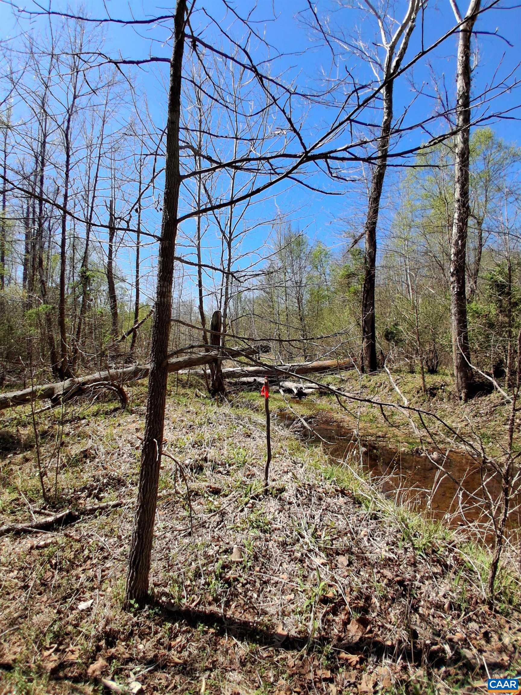 Lot 3 RIDGE RD, PALMYRA, Virginia 22963, ,Land,Elsie Lane, Lot 3,Lot 3 RIDGE RD,681325 MLS # 681325