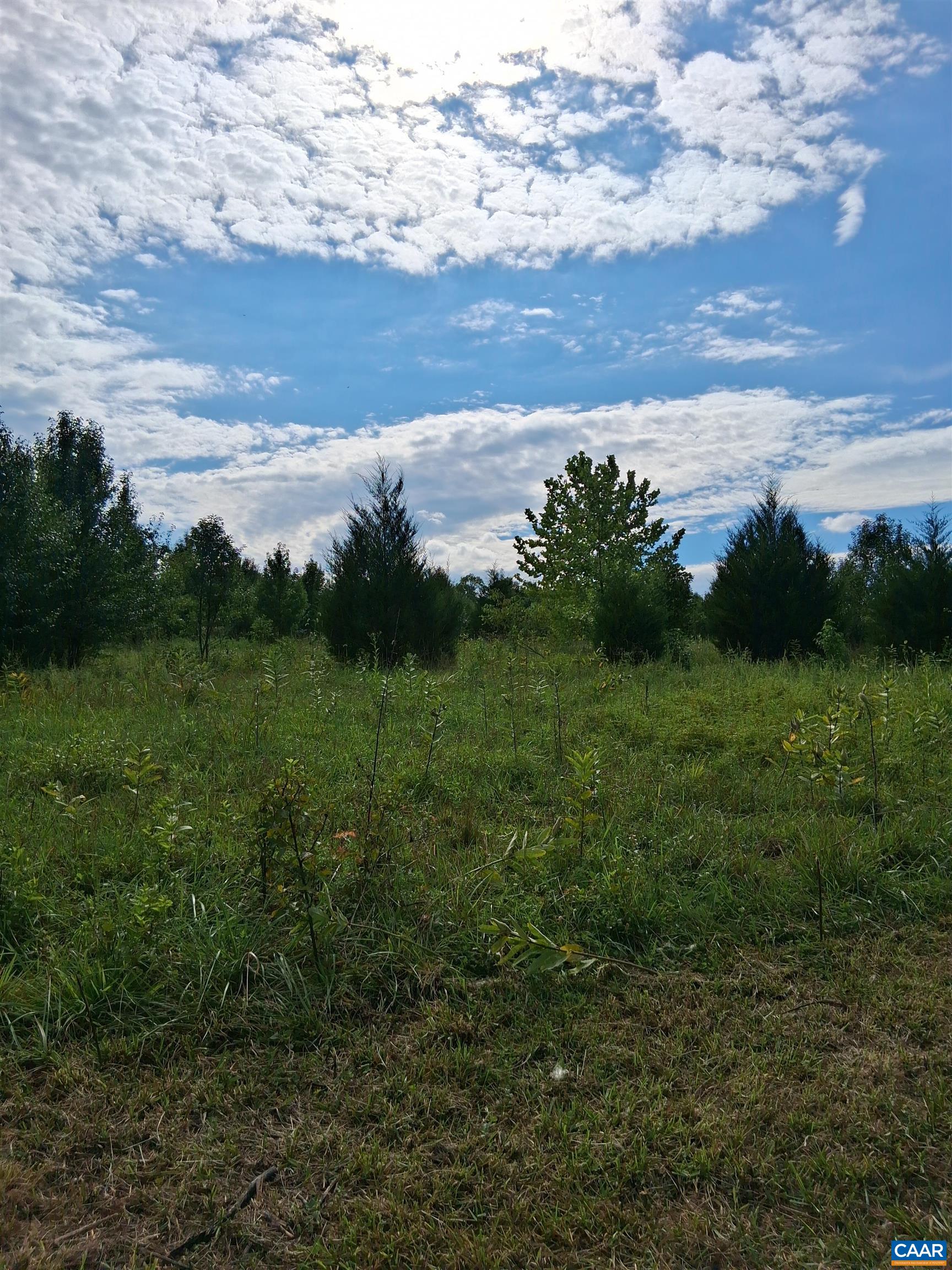 Lot 4 RIDGE RD, PALMYRA, Virginia 22936, ,Land,Elsie Lane- Lot 4,Lot 4 RIDGE RD,681326 MLS # 681326