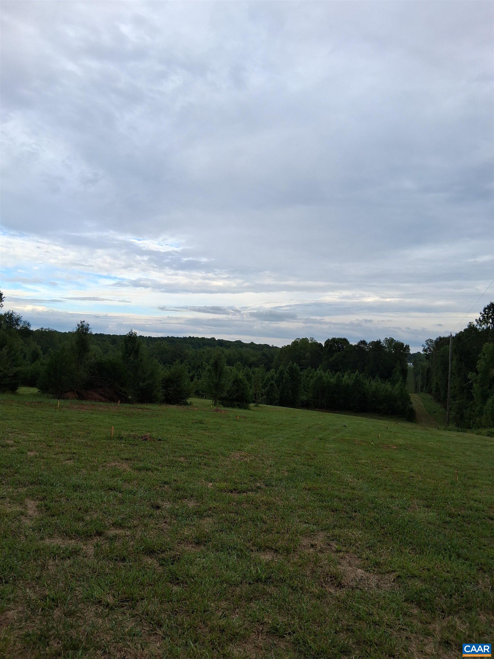 Lot 4 RIDGE RD, PALMYRA, Virginia 22936, ,Land,Elsie Lane- Lot 4,Lot 4 RIDGE RD,681326 MLS # 681326