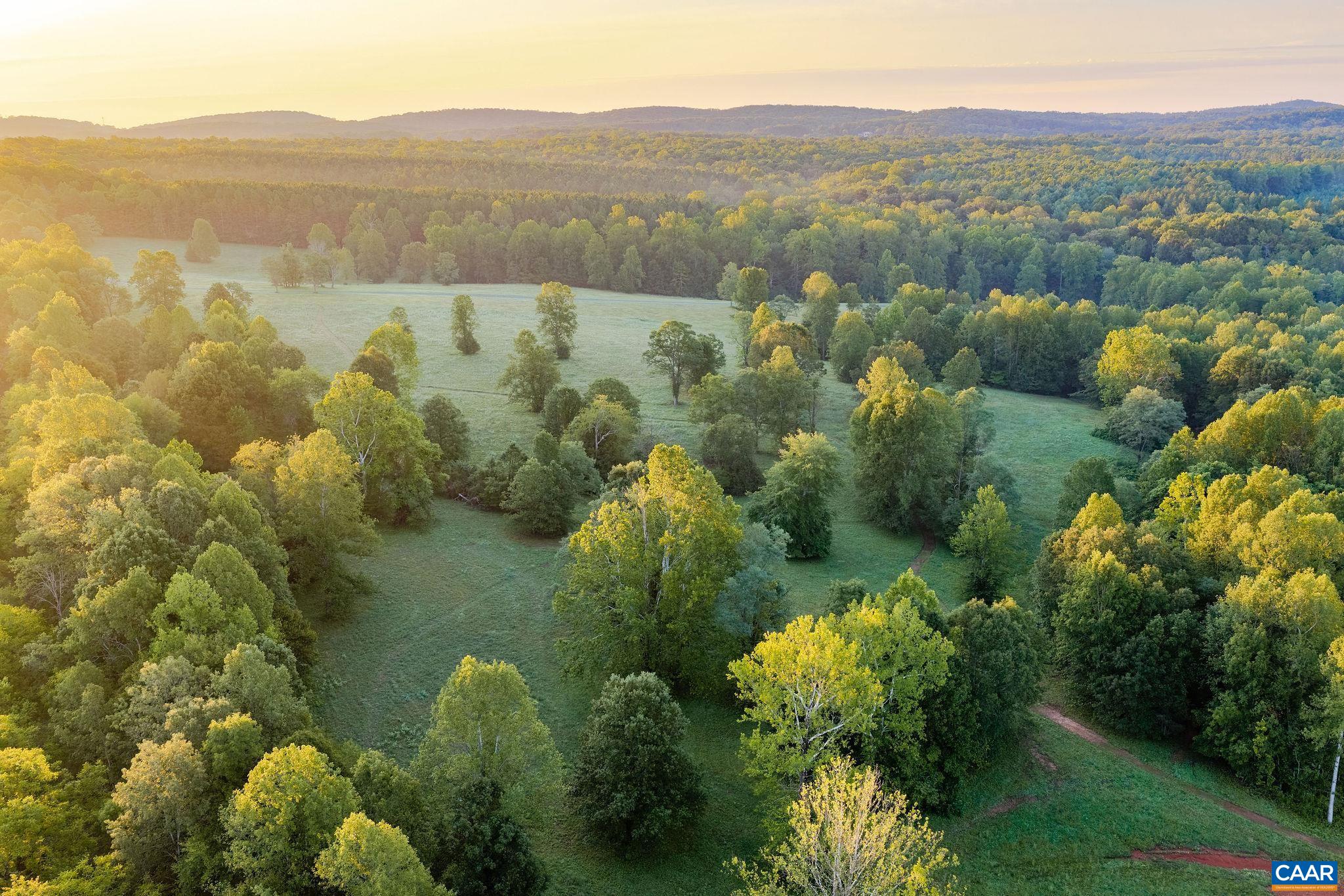 The fields one drives through on the way to the house are dotted with mature hardwoods. The fields one drives through on the way to the house are dotted with mature hardwoods.