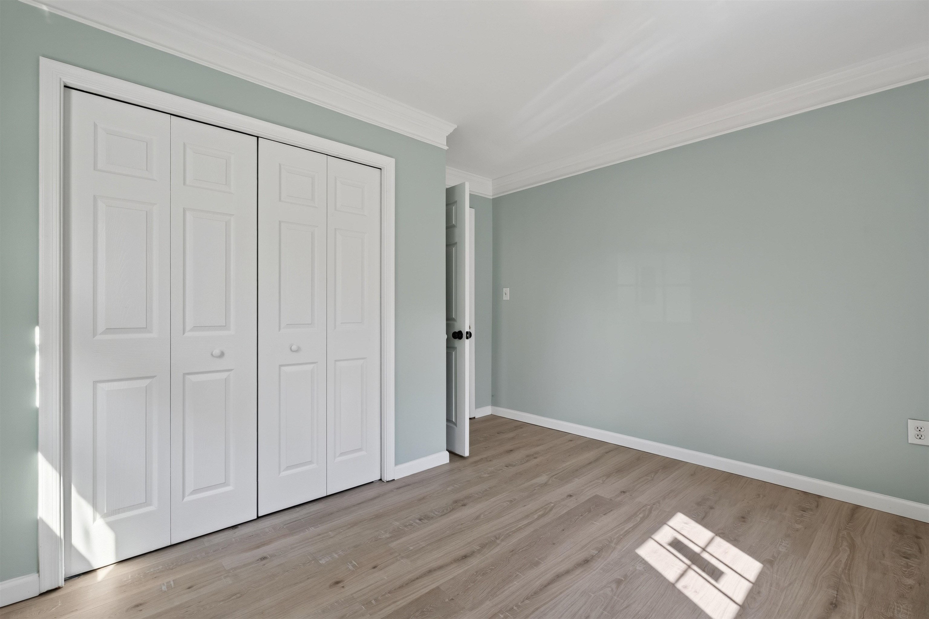 247 LITTLE CHURCH LN, MADISON, Virginia 22727, 4 Bedrooms Bedrooms, ,2 BathroomsBathrooms,Residential,247 LITTLE CHURCH LN,681386 MLS # 681386 247 LITTLE CHURCH LN, MADISON, Virginia 22727, 4 Bedrooms Bedrooms, ,2 BathroomsBathrooms,Residential,247 LITTLE CHURCH LN,681386 MLS # 681386