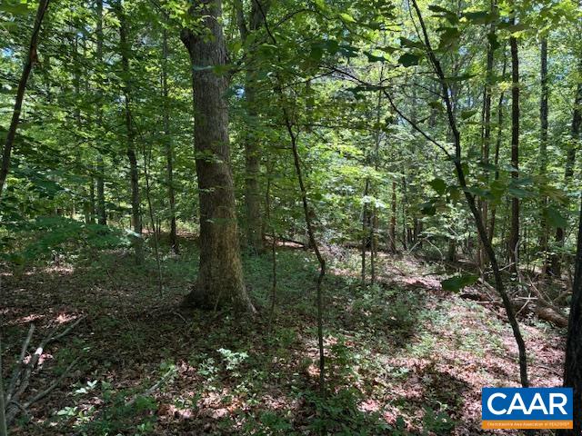 0 OAKMONT DR, GORDONSVILLE, Virginia 22942, ,Land,0 OAKMONT DR,678053 MLS # 678053