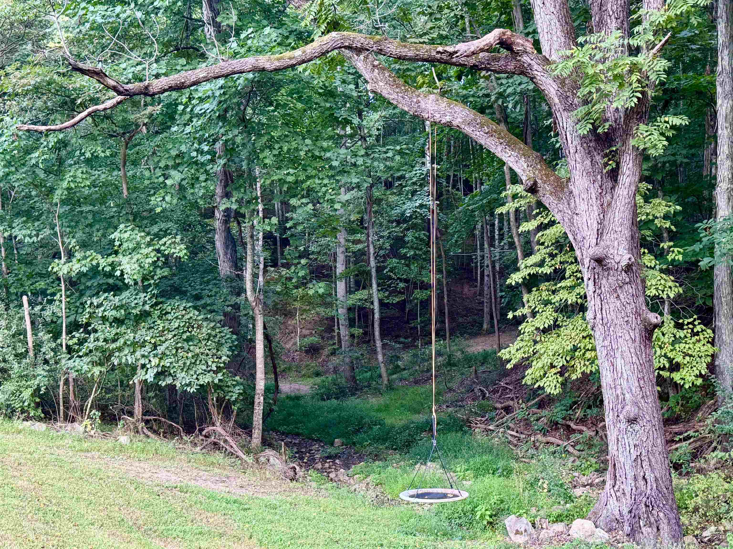 1025 WATERLOO DR, LEXINGTON, Virginia 24450, ,Farm,1025 WATERLOO DR,681422 MLS # 681422 1025 WATERLOO DR, LEXINGTON, Virginia 24450, ,Farm,1025 WATERLOO DR,681422 MLS # 681422