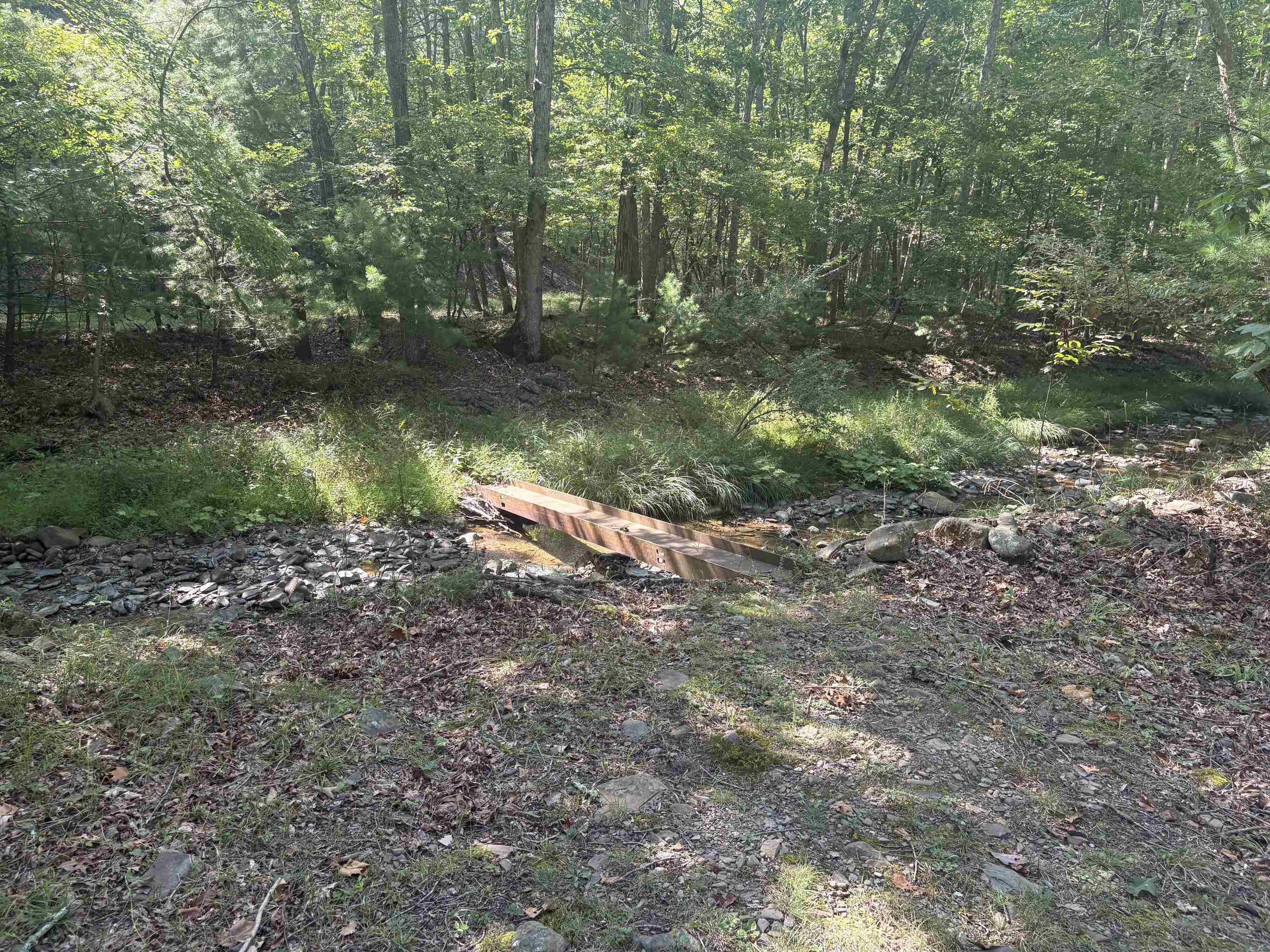 299 BOLSHERS RUN, MILLBORO, Virginia 24460, 3 Bedrooms Bedrooms, ,3 BathroomsBathrooms,Residential,Bolshers Retreat,299 BOLSHERS RUN,681459 MLS # 681459 299 BOLSHERS RUN, MILLBORO, Virginia 24460, 3 Bedrooms Bedrooms, ,3 BathroomsBathrooms,Residential,Bolshers Retreat,299 BOLSHERS RUN,681459 MLS # 681459