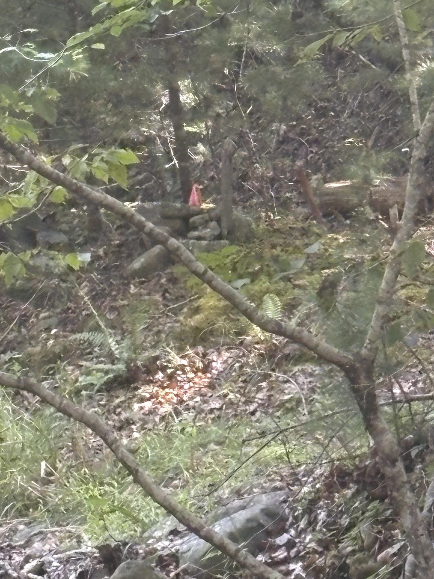 Taken from Foot bridge Taken from Foot bridge