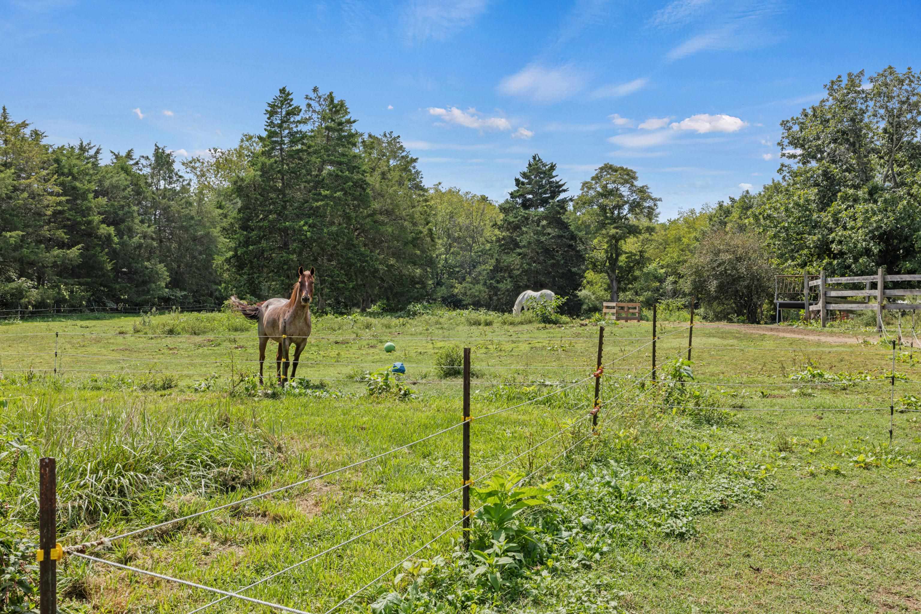 1589 DAM TOWN RD, FORT DEFIANCE, Virginia 24437, 4 Bedrooms Bedrooms, ,1 BathroomBathrooms,Residential,1589 DAM TOWN RD,681467 MLS # 681467 1589 DAM TOWN RD, FORT DEFIANCE, Virginia 24437, 4 Bedrooms Bedrooms, ,1 BathroomBathrooms,Residential,1589 DAM TOWN RD,681467 MLS # 681467