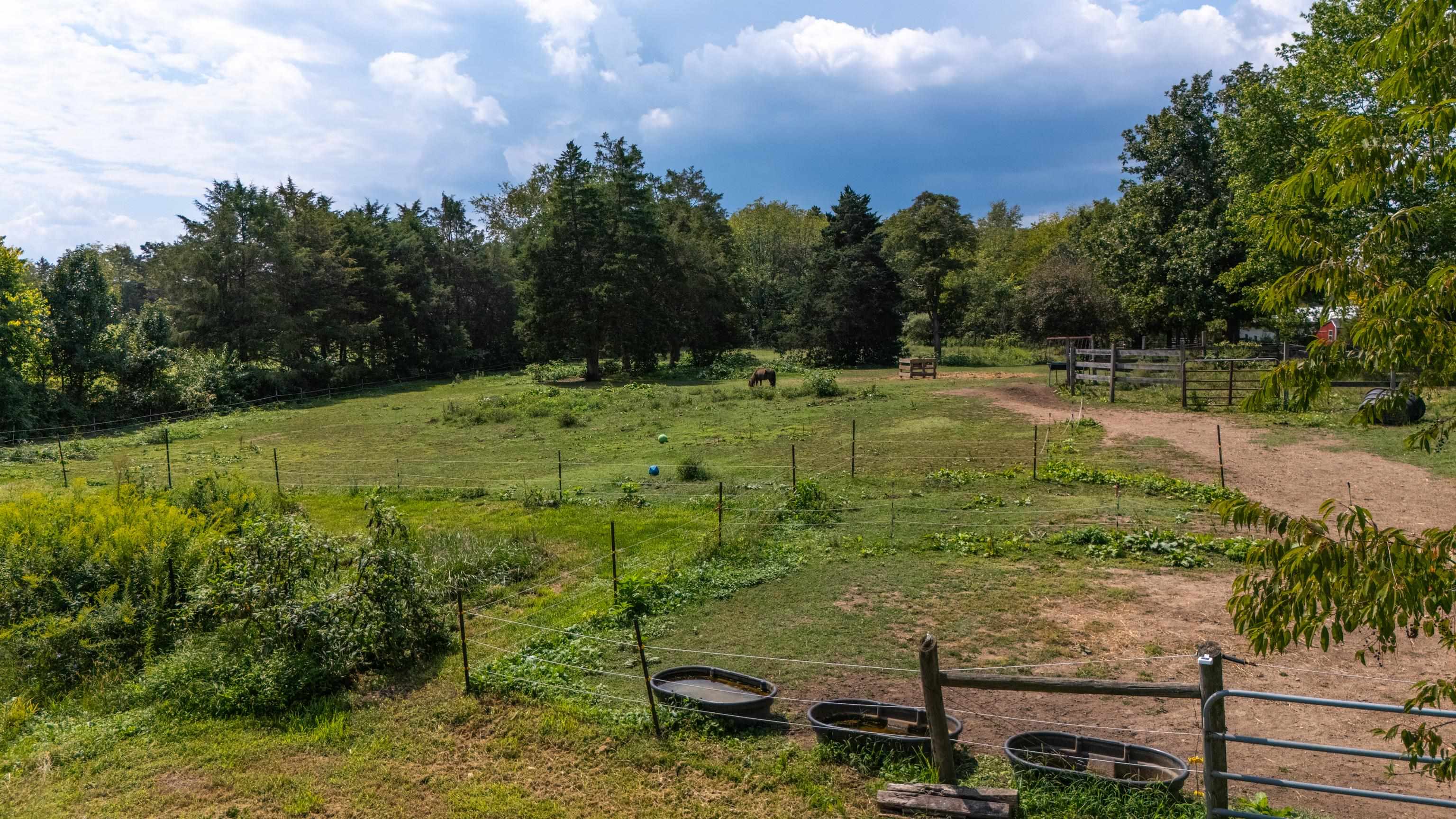 1589 DAM TOWN RD, FORT DEFIANCE, Virginia 24437, 4 Bedrooms Bedrooms, ,1 BathroomBathrooms,Residential,1589 DAM TOWN RD,681467 MLS # 681467 1589 DAM TOWN RD, FORT DEFIANCE, Virginia 24437, 4 Bedrooms Bedrooms, ,1 BathroomBathrooms,Residential,1589 DAM TOWN RD,681467 MLS # 681467