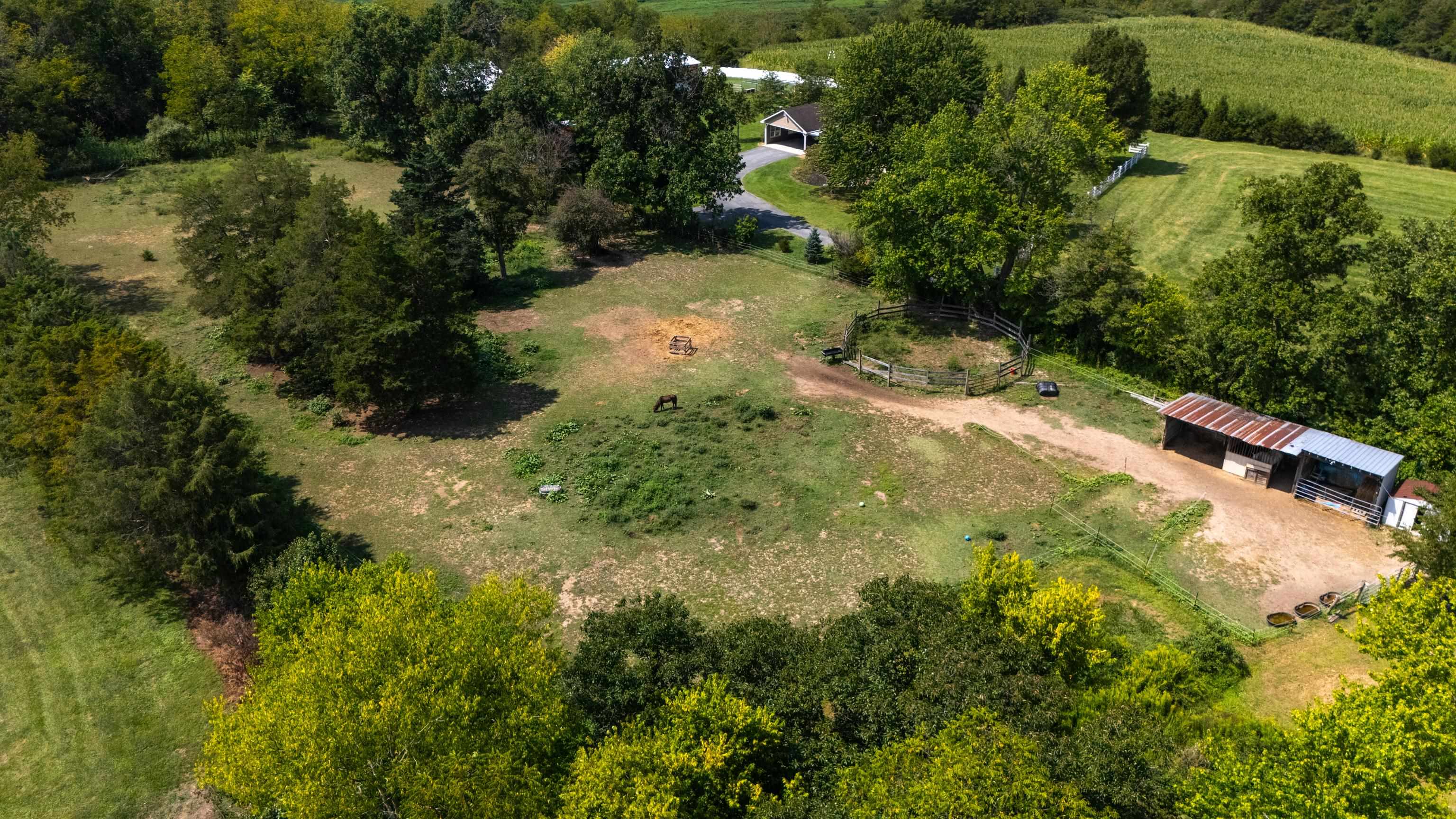 1589 DAM TOWN RD, FORT DEFIANCE, Virginia 24437, 4 Bedrooms Bedrooms, ,1 BathroomBathrooms,Residential,1589 DAM TOWN RD,681467 MLS # 681467 1589 DAM TOWN RD, FORT DEFIANCE, Virginia 24437, 4 Bedrooms Bedrooms, ,1 BathroomBathrooms,Residential,1589 DAM TOWN RD,681467 MLS # 681467