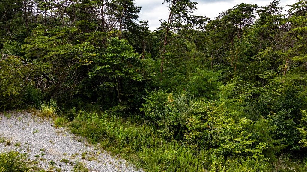 TBD LEE JACKSON HWY, STAUNTON, Virginia 24401, ,Land,TBD LEE JACKSON HWY,681482 MLS # 681482 TBD LEE JACKSON HWY, STAUNTON, Virginia 24401, ,Land,TBD LEE JACKSON HWY,681482 MLS # 681482