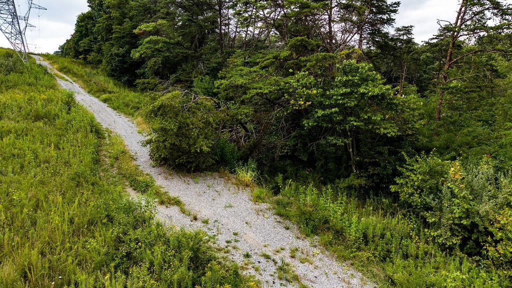 TBD LEE JACKSON HWY, STAUNTON, Virginia 24401, ,Land,TBD LEE JACKSON HWY,681482 MLS # 681482 TBD LEE JACKSON HWY, STAUNTON, Virginia 24401, ,Land,TBD LEE JACKSON HWY,681482 MLS # 681482
