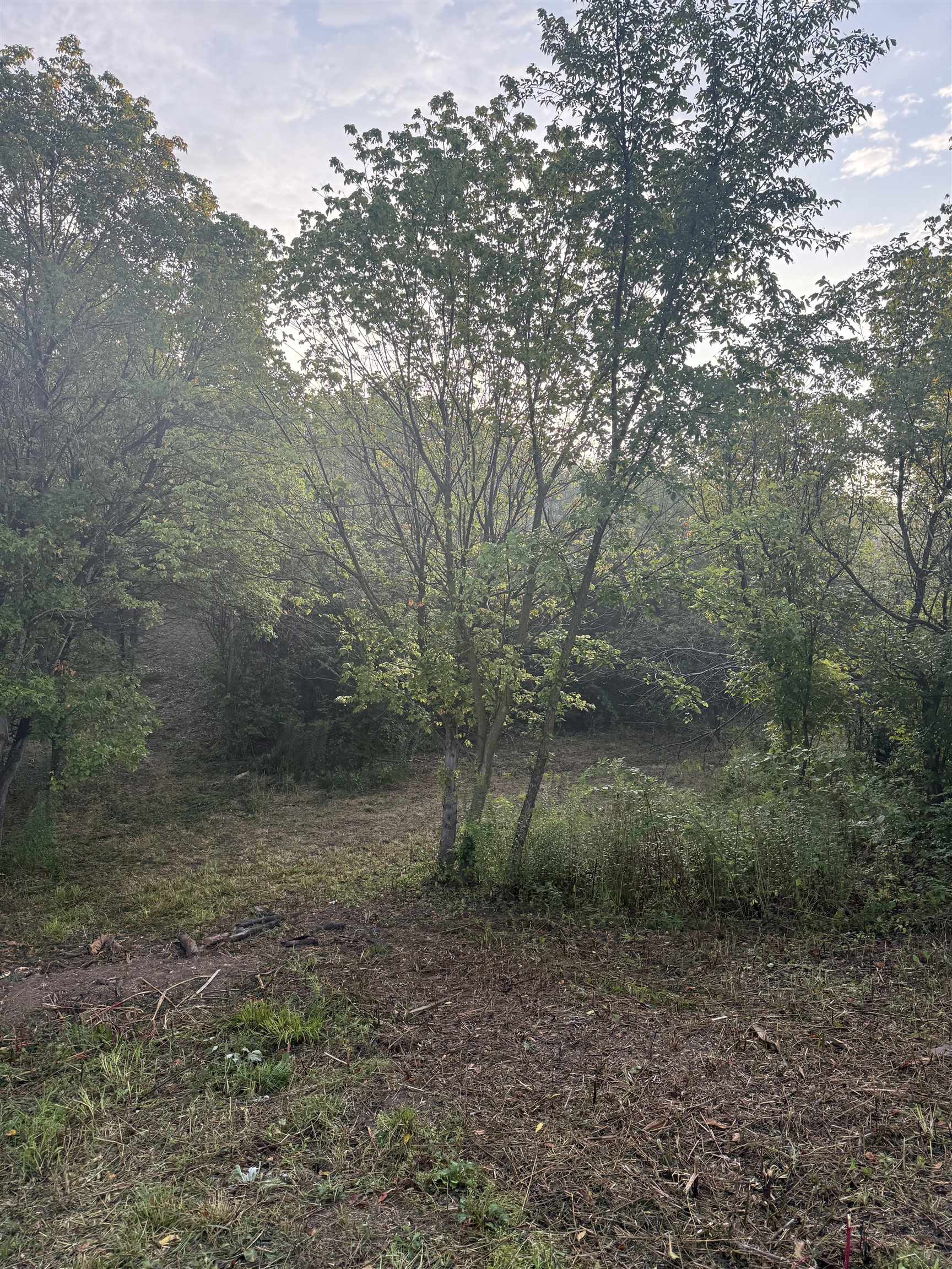 TBD KNIGHTLY MILL RD, MOUNT SIDNEY, Virginia 24467, ,Land,TBD KNIGHTLY MILL RD,681527 MLS # 681527 TBD KNIGHTLY MILL RD, MOUNT SIDNEY, Virginia 24467, ,Land,TBD KNIGHTLY MILL RD,681527 MLS # 681527