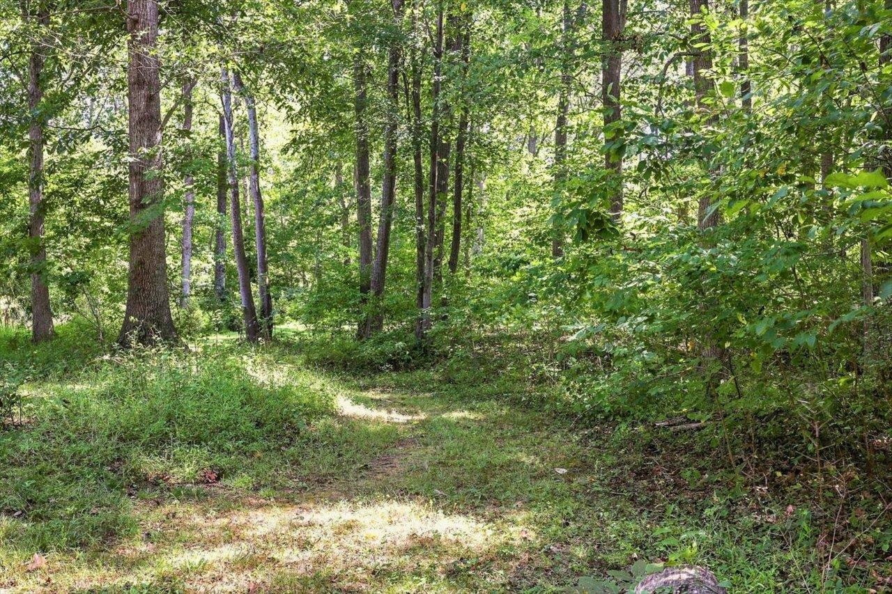 2160 MT TORREY RD, LYNDHURST, Virginia 22952, 3 Bedrooms Bedrooms, ,2 BathroomsBathrooms,Residential,2160 MT TORREY RD,681532 MLS # 681532