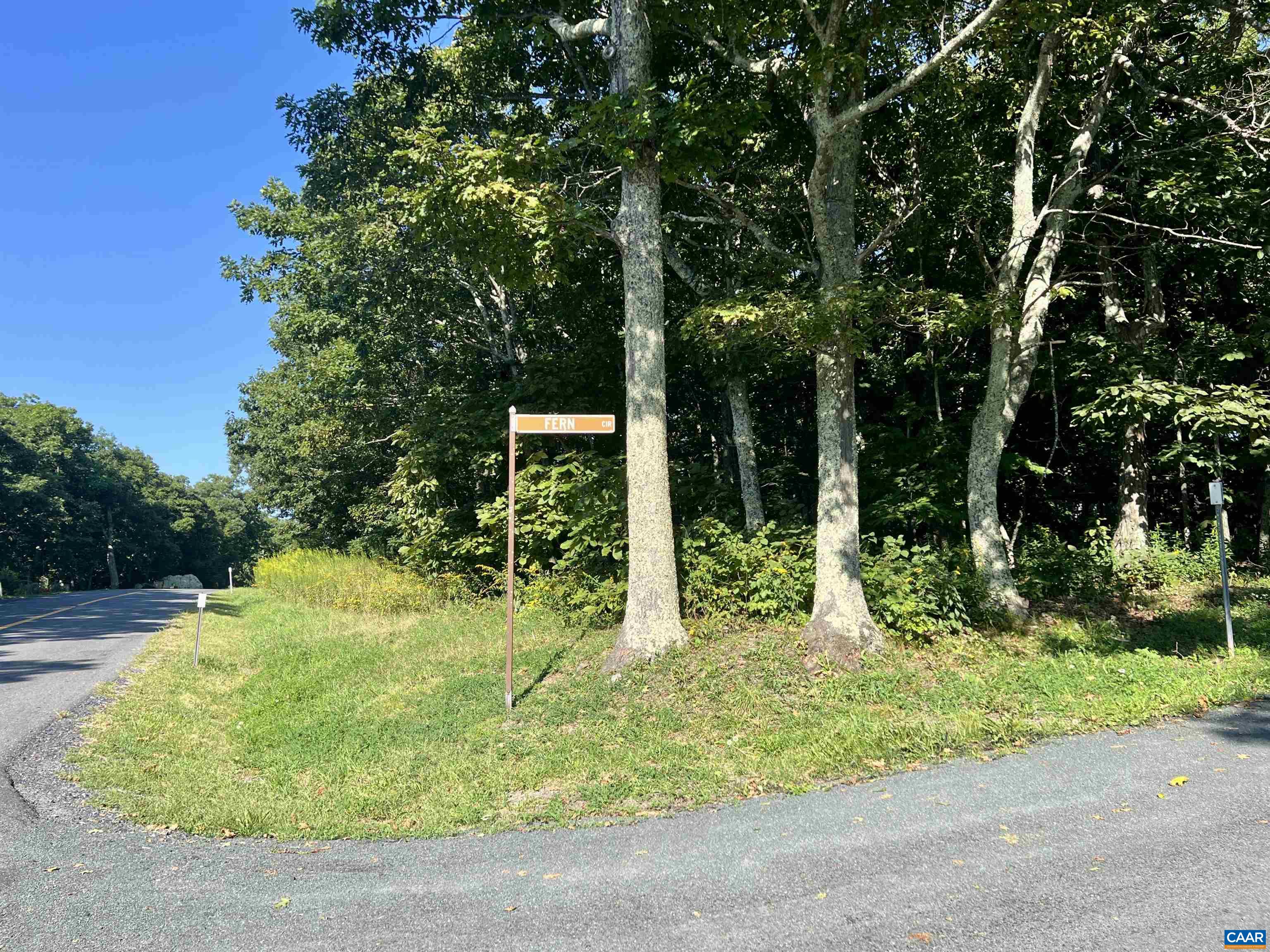 805 DEVILS KNOB LOOP, WINTERGREEN RESORT, Virginia 22967, ,Land,805 DEVILS KNOB LOOP,681534 MLS # 681534