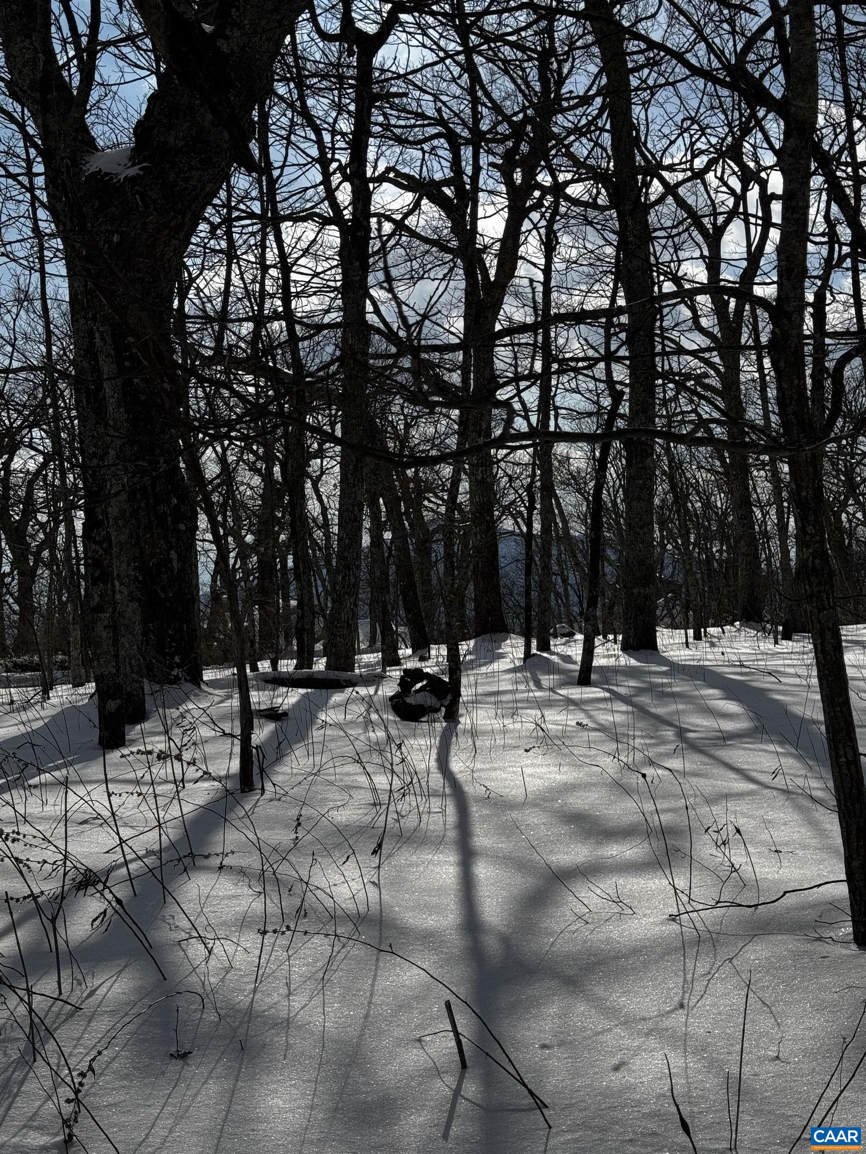 805 DEVILS KNOB LOOP, WINTERGREEN RESORT, Virginia 22967, ,Land,805 DEVILS KNOB LOOP,681534 MLS # 681534