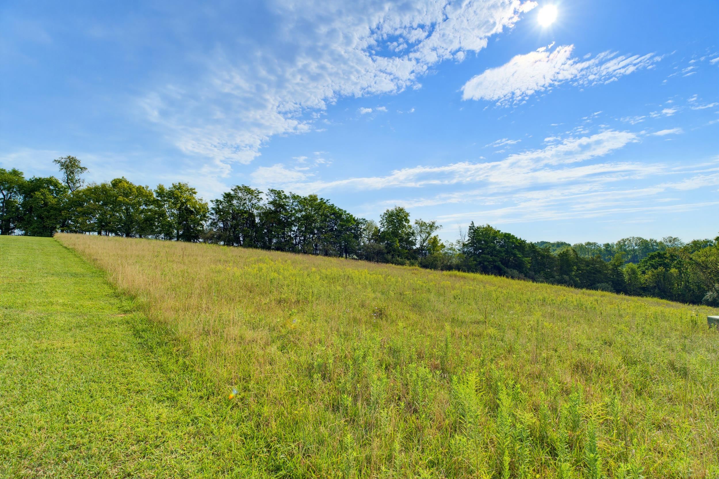 27-120A KNIGHTLY LN, MOUNT SIDNEY, Virginia 24467, ,Land,27-120A KNIGHTLY LN,681541 MLS # 681541