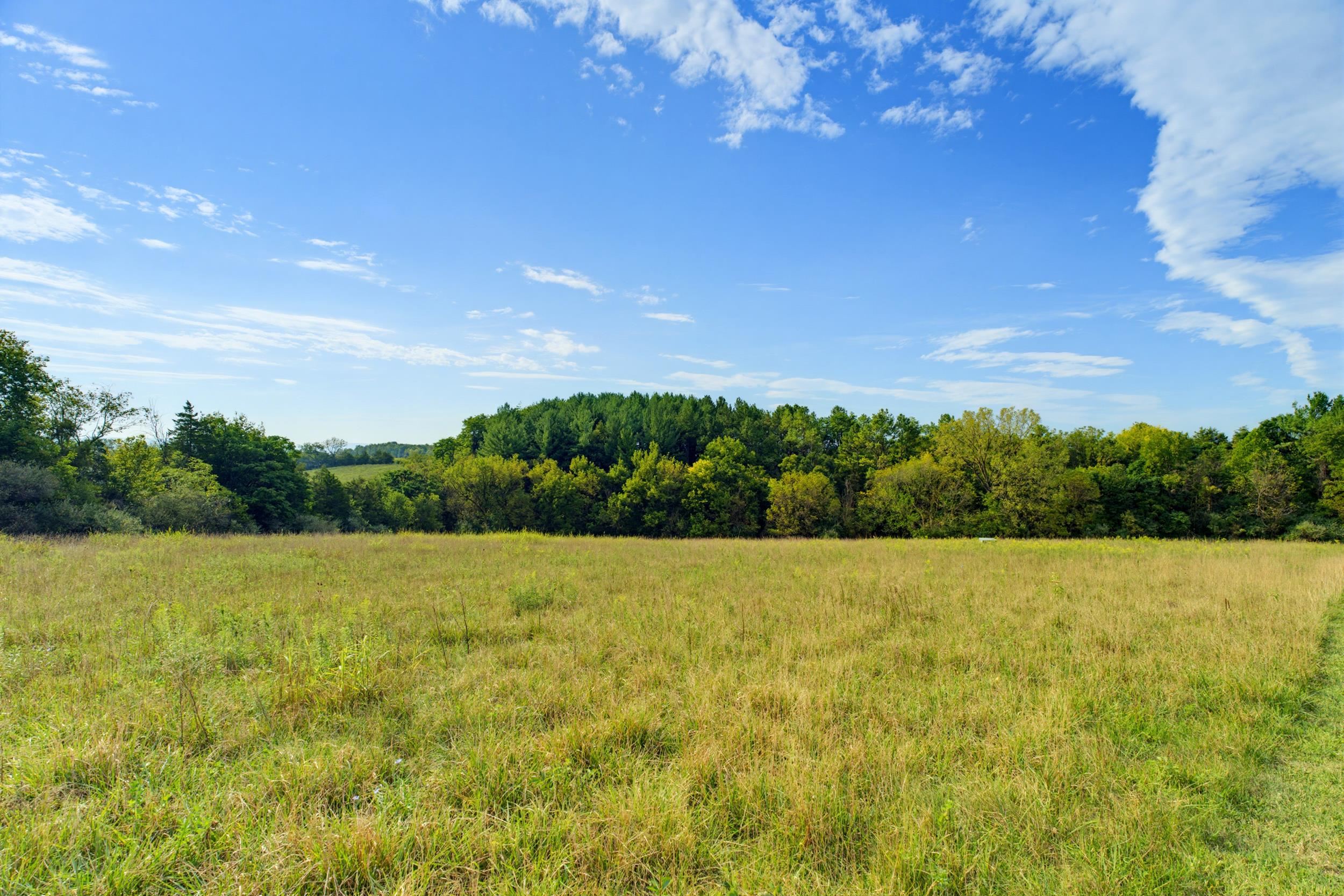 27-120A KNIGHTLY LN, MOUNT SIDNEY, Virginia 24467, ,Land,27-120A KNIGHTLY LN,681541 MLS # 681541