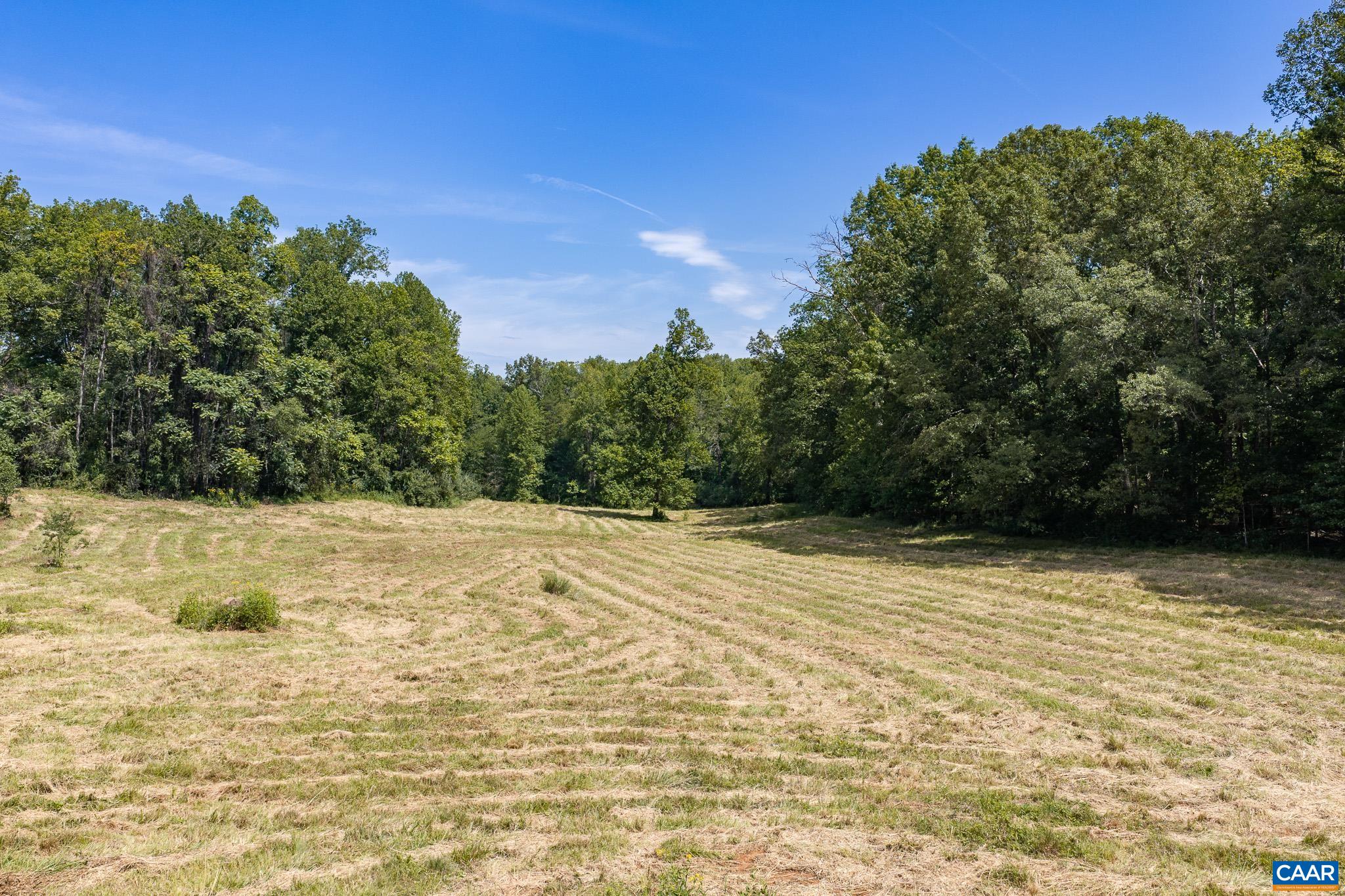 3595 RED HILL RD, CHARLOTTESVILLE, Virginia 22903, 4 Bedrooms Bedrooms, ,2 BathroomsBathrooms,Residential,3595 RED HILL RD,681536 MLS # 681536 3595 RED HILL RD, CHARLOTTESVILLE, Virginia 22903, 4 Bedrooms Bedrooms, ,2 BathroomsBathrooms,Residential,3595 RED HILL RD,681536 MLS # 681536