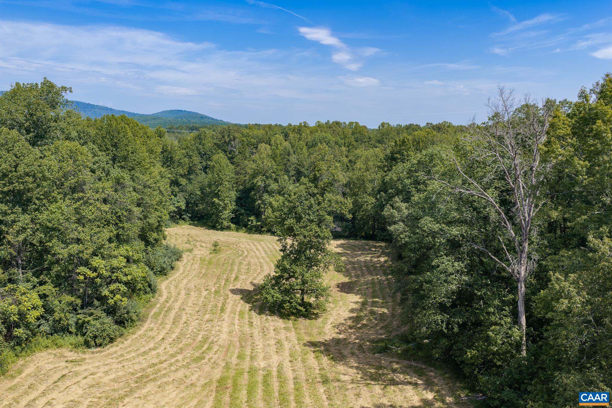 3595 RED HILL RD, CHARLOTTESVILLE, Virginia 22903, 4 Bedrooms Bedrooms, ,2 BathroomsBathrooms,Residential,3595 RED HILL RD,681536 MLS # 681536 3595 RED HILL RD, CHARLOTTESVILLE, Virginia 22903, 4 Bedrooms Bedrooms, ,2 BathroomsBathrooms,Residential,3595 RED HILL RD,681536 MLS # 681536