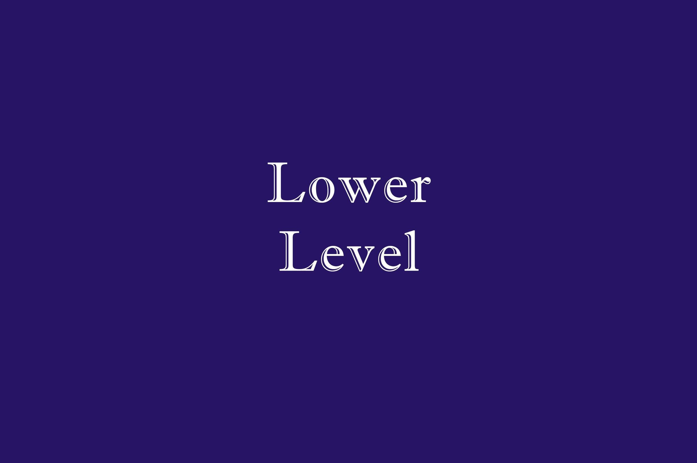 Lower Level