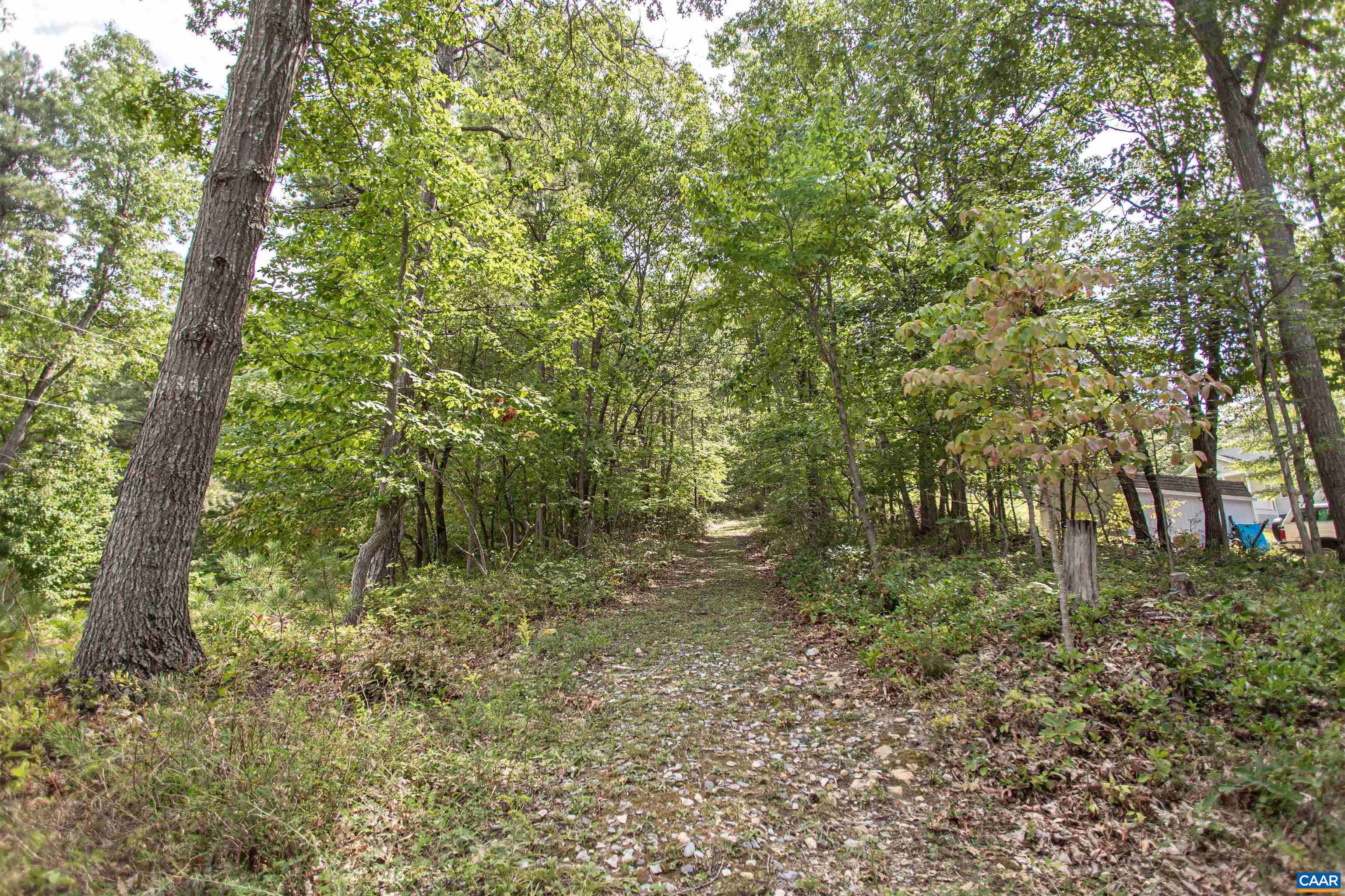 20002 WOODED VIEW LN, ELKTON, Virginia 22827, 5 Bedrooms Bedrooms, ,3 BathroomsBathrooms,Residential,20002 WOODED VIEW LN,681540 MLS # 681540 20002 WOODED VIEW LN, ELKTON, Virginia 22827, 5 Bedrooms Bedrooms, ,3 BathroomsBathrooms,Residential,20002 WOODED VIEW LN,681540 MLS # 681540