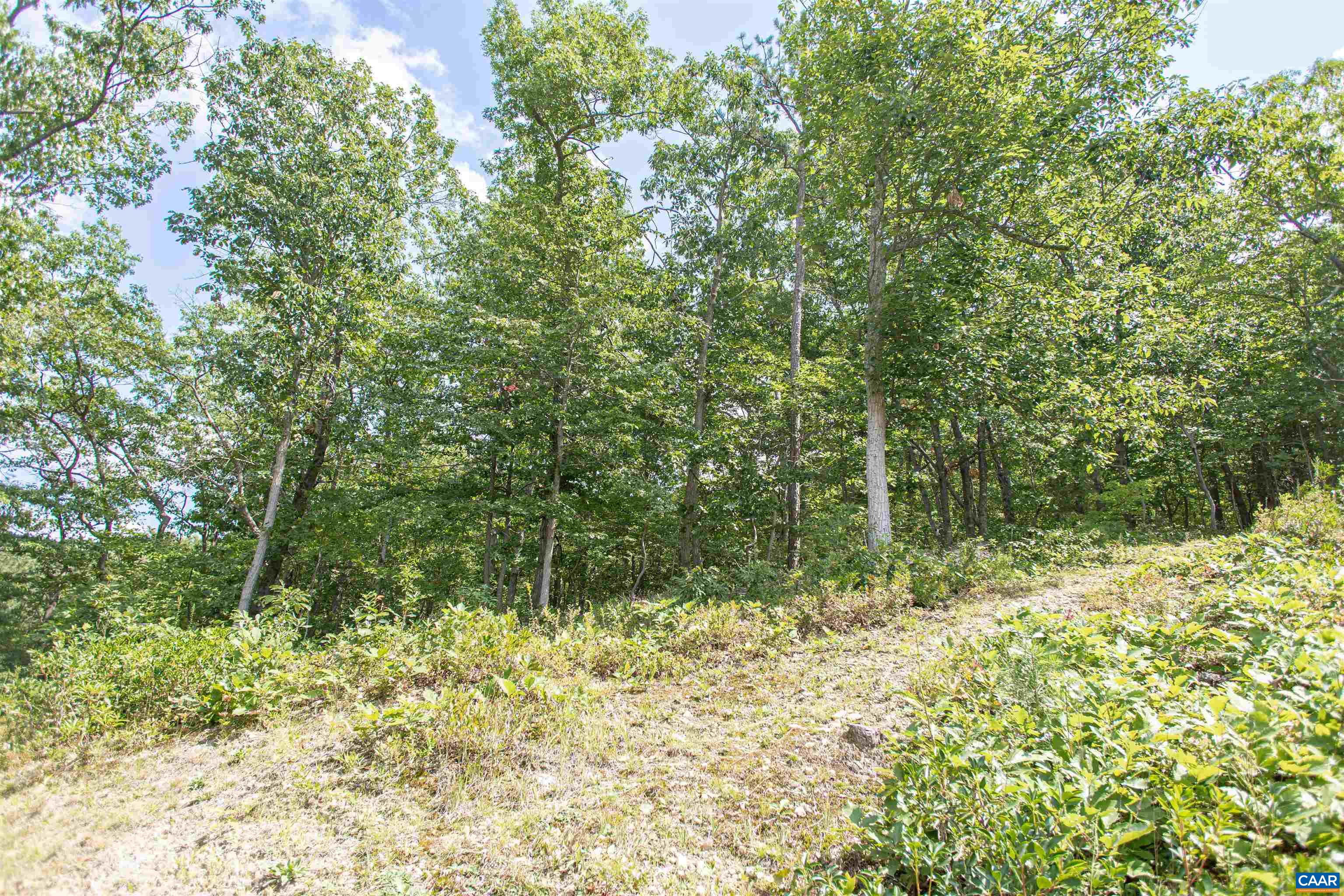 20002 WOODED VIEW LN, ELKTON, Virginia 22827, 5 Bedrooms Bedrooms, ,3 BathroomsBathrooms,Residential,20002 WOODED VIEW LN,681540 MLS # 681540 20002 WOODED VIEW LN, ELKTON, Virginia 22827, 5 Bedrooms Bedrooms, ,3 BathroomsBathrooms,Residential,20002 WOODED VIEW LN,681540 MLS # 681540