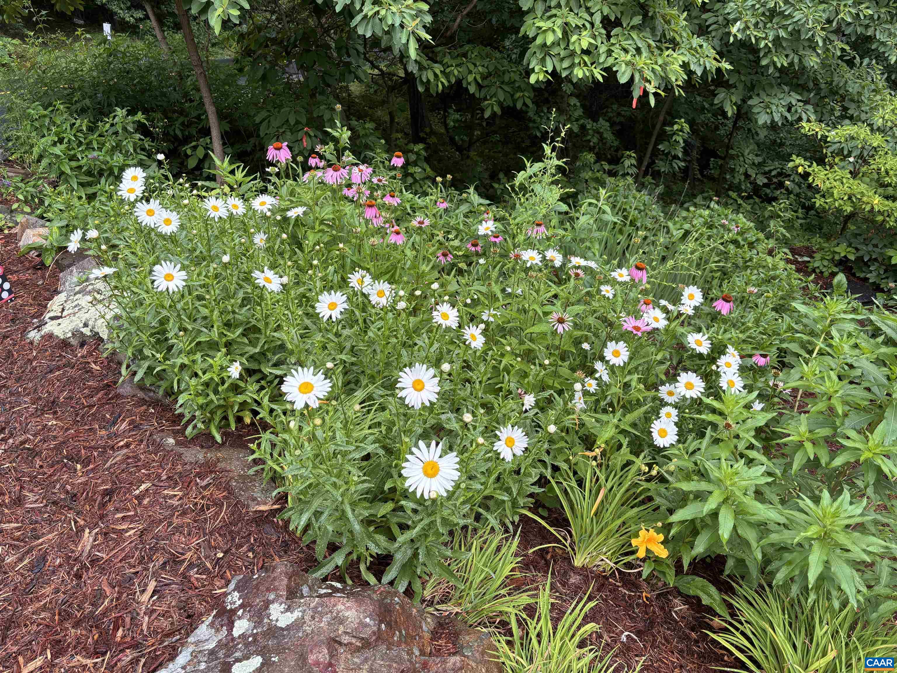 9 LADYSLIPPER LN, WINTERGREEN RESORT, Virginia 22967, 5 Bedrooms Bedrooms, ,5 BathroomsBathrooms,Residential,9 LADYSLIPPER LN,681542 MLS # 681542 9 LADYSLIPPER LN, WINTERGREEN RESORT, Virginia 22967, 5 Bedrooms Bedrooms, ,5 BathroomsBathrooms,Residential,9 LADYSLIPPER LN,681542 MLS # 681542