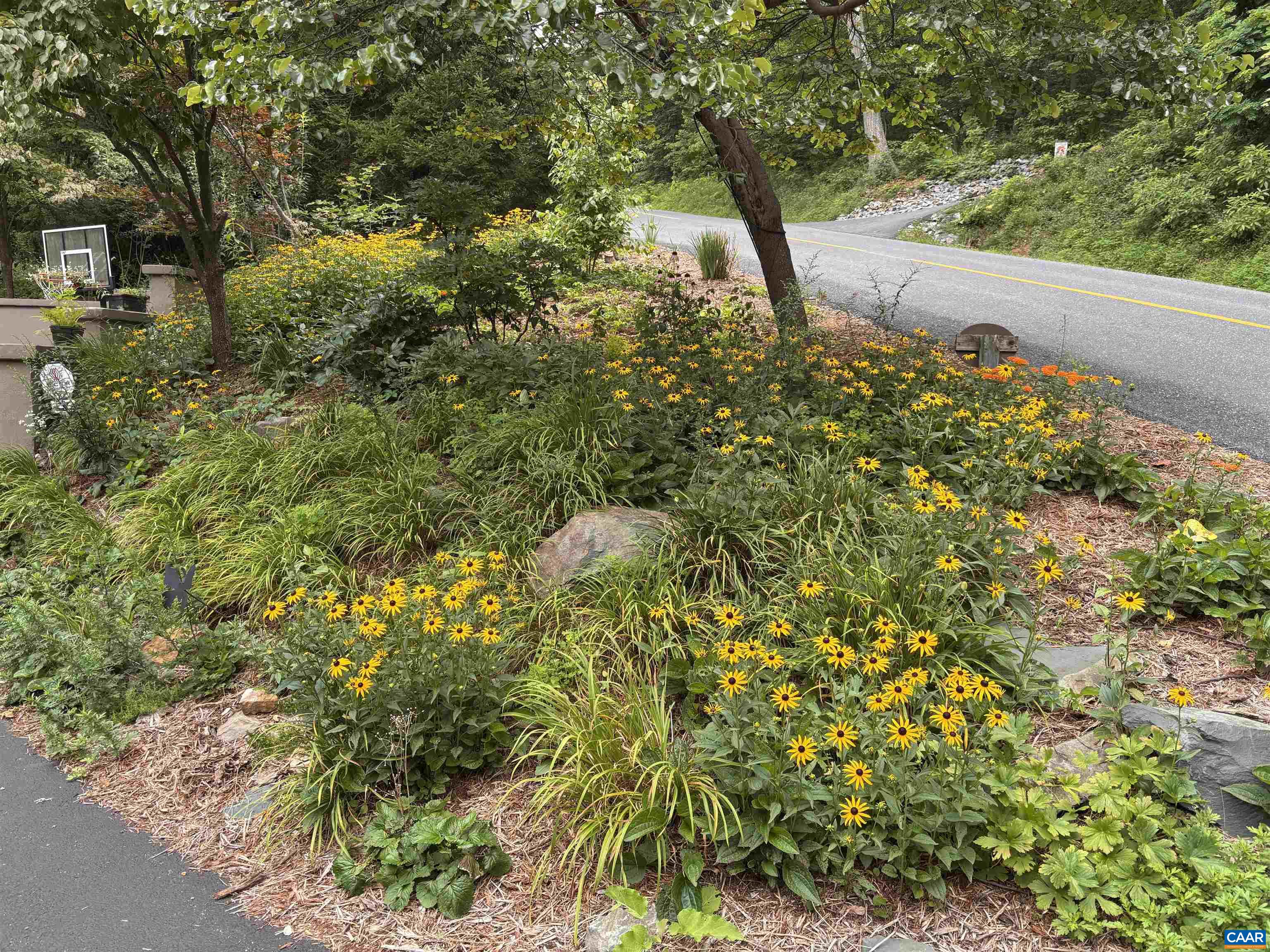 9 LADYSLIPPER LN, WINTERGREEN RESORT, Virginia 22967, 5 Bedrooms Bedrooms, ,5 BathroomsBathrooms,Residential,9 LADYSLIPPER LN,681542 MLS # 681542 9 LADYSLIPPER LN, WINTERGREEN RESORT, Virginia 22967, 5 Bedrooms Bedrooms, ,5 BathroomsBathrooms,Residential,9 LADYSLIPPER LN,681542 MLS # 681542