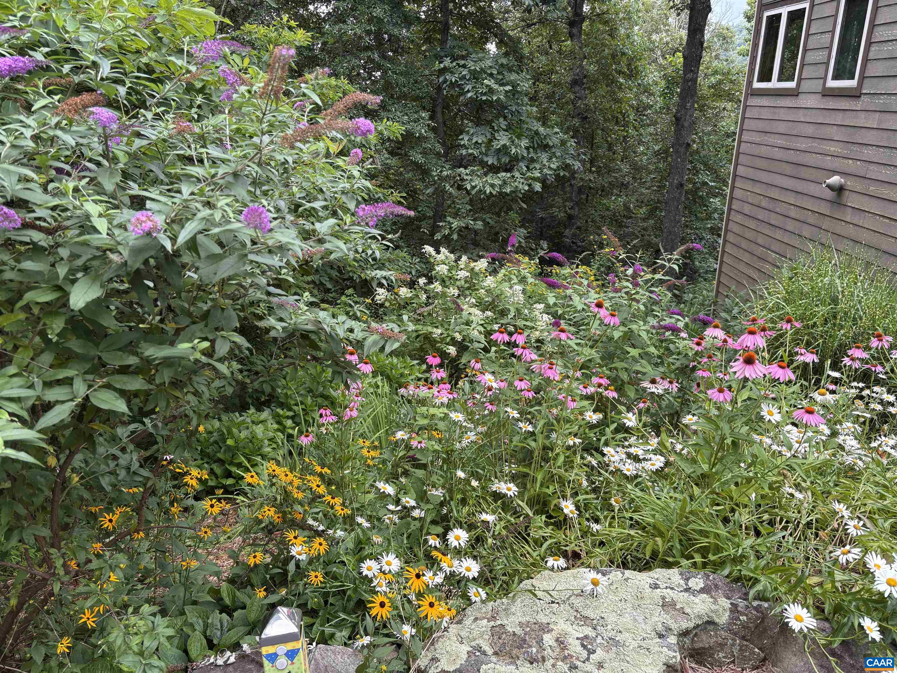 9 LADYSLIPPER LN, WINTERGREEN RESORT, Virginia 22967, 5 Bedrooms Bedrooms, ,5 BathroomsBathrooms,Residential,9 LADYSLIPPER LN,681542 MLS # 681542 9 LADYSLIPPER LN, WINTERGREEN RESORT, Virginia 22967, 5 Bedrooms Bedrooms, ,5 BathroomsBathrooms,Residential,9 LADYSLIPPER LN,681542 MLS # 681542