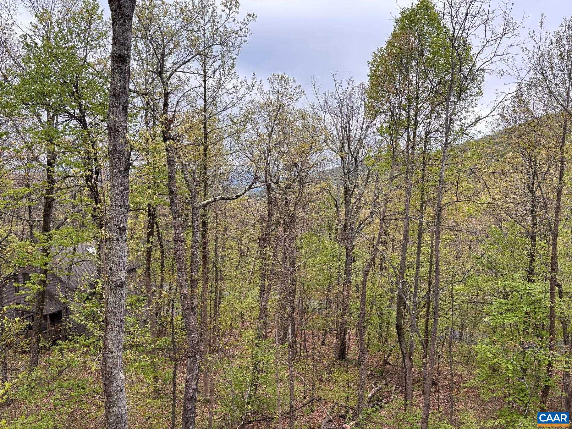 9 LADYSLIPPER LN, WINTERGREEN RESORT, Virginia 22967, 5 Bedrooms Bedrooms, ,5 BathroomsBathrooms,Residential,9 LADYSLIPPER LN,681542 MLS # 681542 9 LADYSLIPPER LN, WINTERGREEN RESORT, Virginia 22967, 5 Bedrooms Bedrooms, ,5 BathroomsBathrooms,Residential,9 LADYSLIPPER LN,681542 MLS # 681542