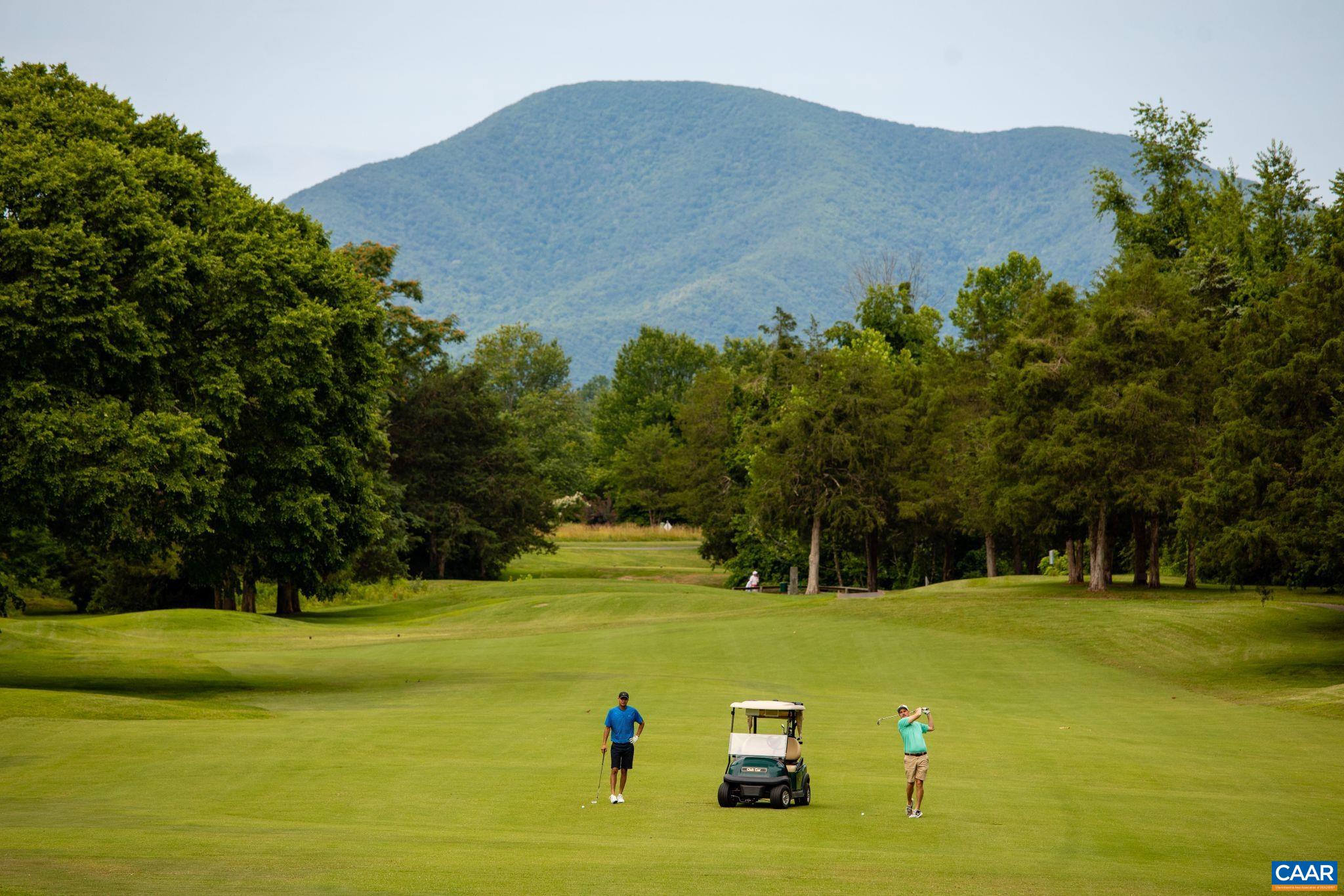 9 LADYSLIPPER LN, WINTERGREEN RESORT, Virginia 22967, 5 Bedrooms Bedrooms, ,5 BathroomsBathrooms,Residential,9 LADYSLIPPER LN,681542 MLS # 681542 9 LADYSLIPPER LN, WINTERGREEN RESORT, Virginia 22967, 5 Bedrooms Bedrooms, ,5 BathroomsBathrooms,Residential,9 LADYSLIPPER LN,681542 MLS # 681542