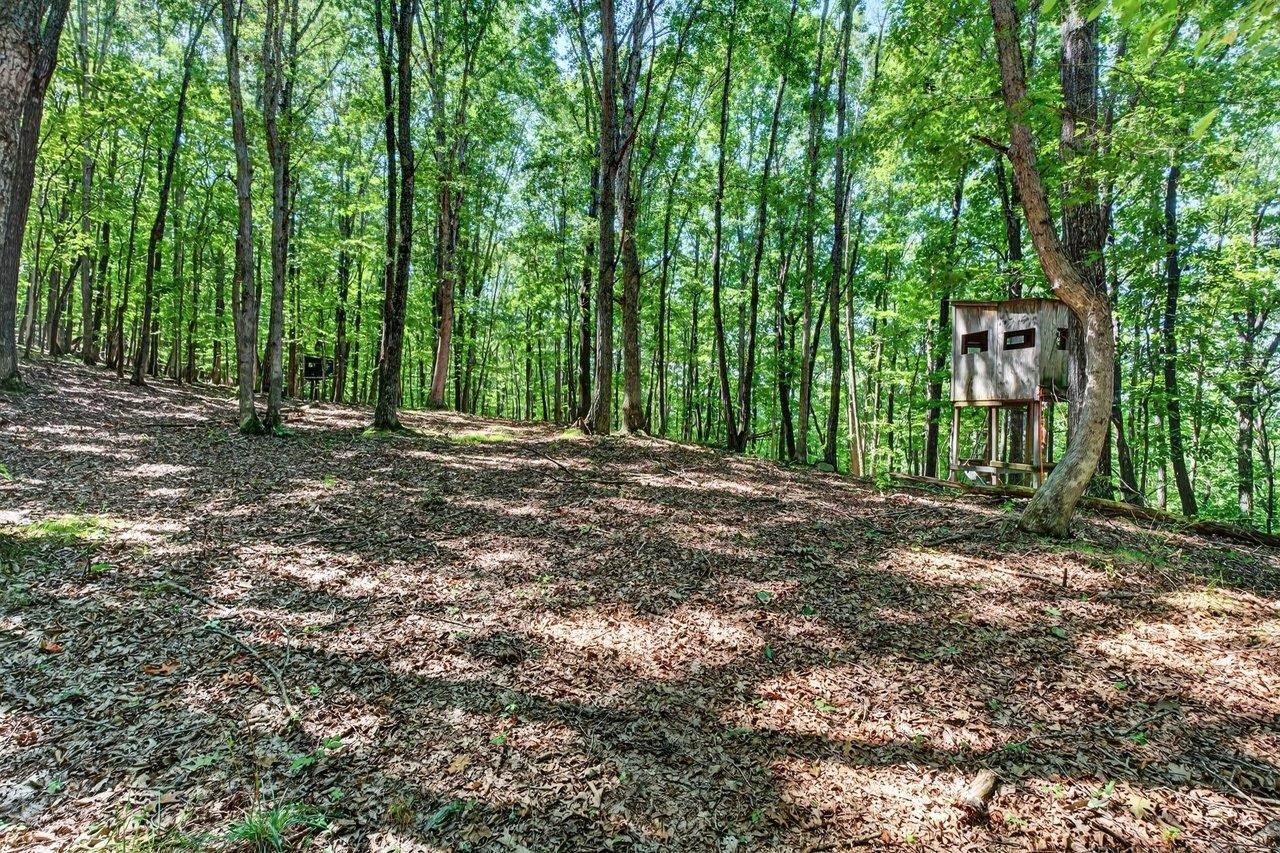 1874 TROXEL GAP RD, CRAIGSVILLE, Virginia 24430, 3 Bedrooms Bedrooms, ,2 BathroomsBathrooms,Residential,1874 TROXEL GAP RD,681563 MLS # 681563 1874 TROXEL GAP RD, CRAIGSVILLE, Virginia 24430, 3 Bedrooms Bedrooms, ,2 BathroomsBathrooms,Residential,1874 TROXEL GAP RD,681563 MLS # 681563